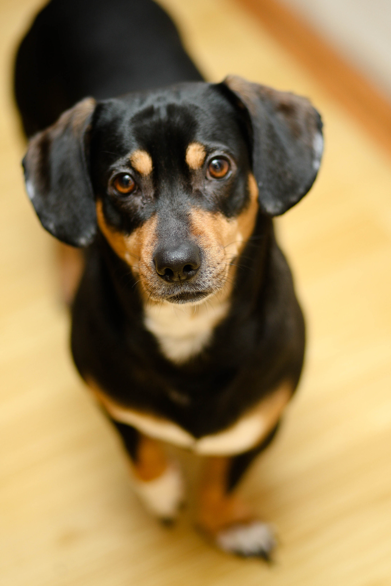 Canon EOS-1D Mark III sample photo. Xd photography