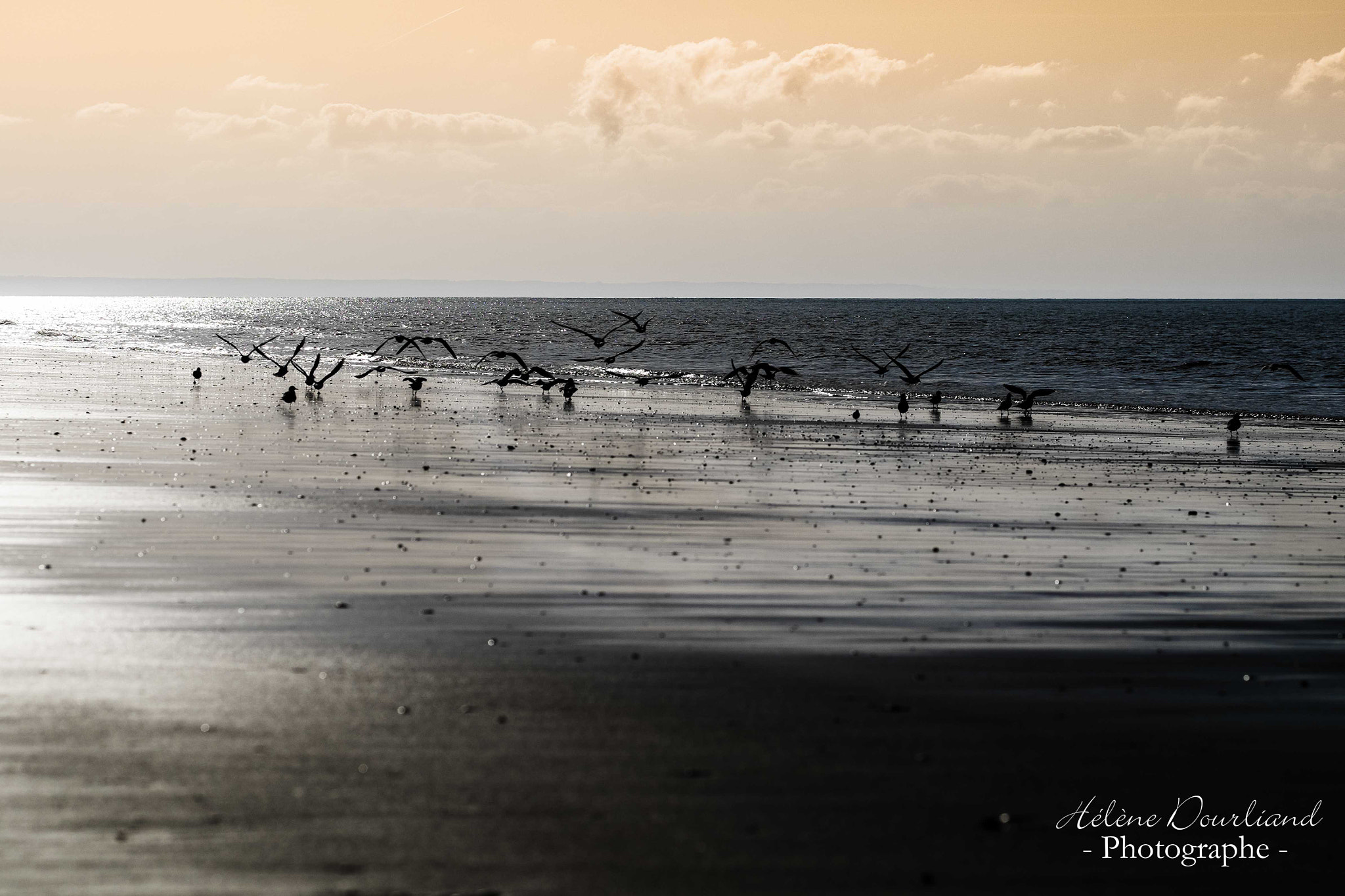 Fujifilm X-T1 + Fujifilm XF 90mm F2 R LM WR sample photo. Plage en normandie photography