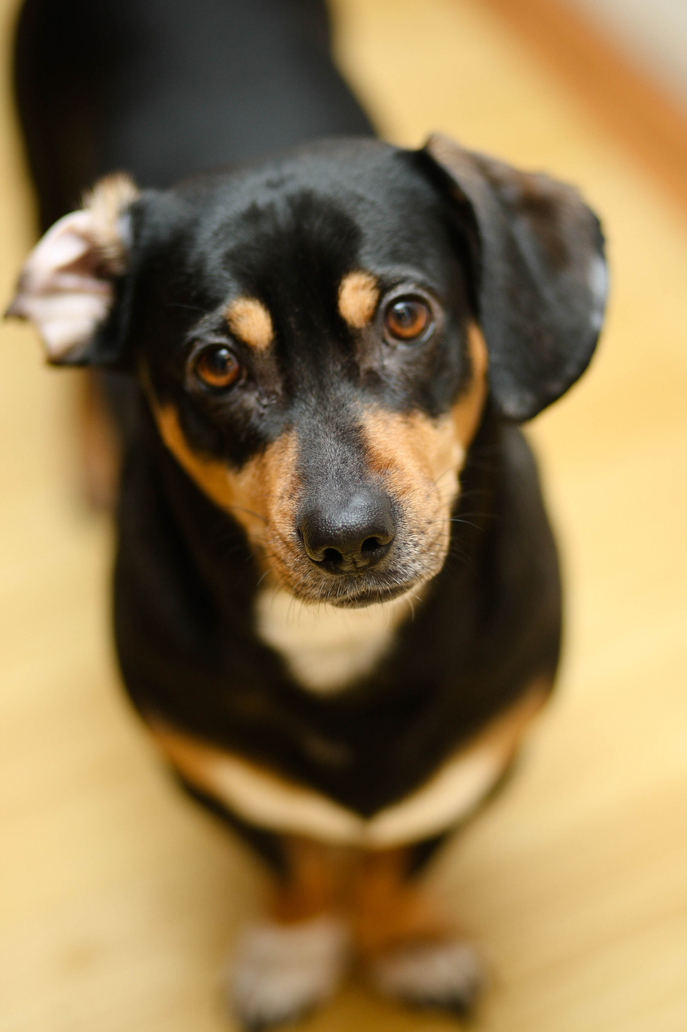Canon EOS-1D Mark III sample photo. Xd photography