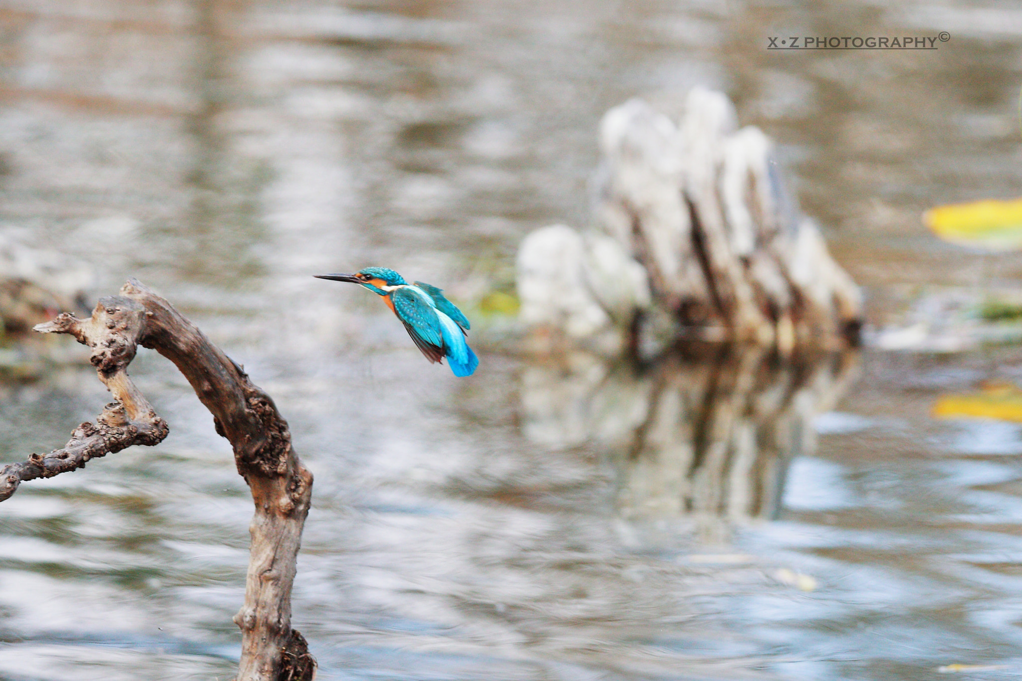 Canon EOS-1D X Mark II sample photo