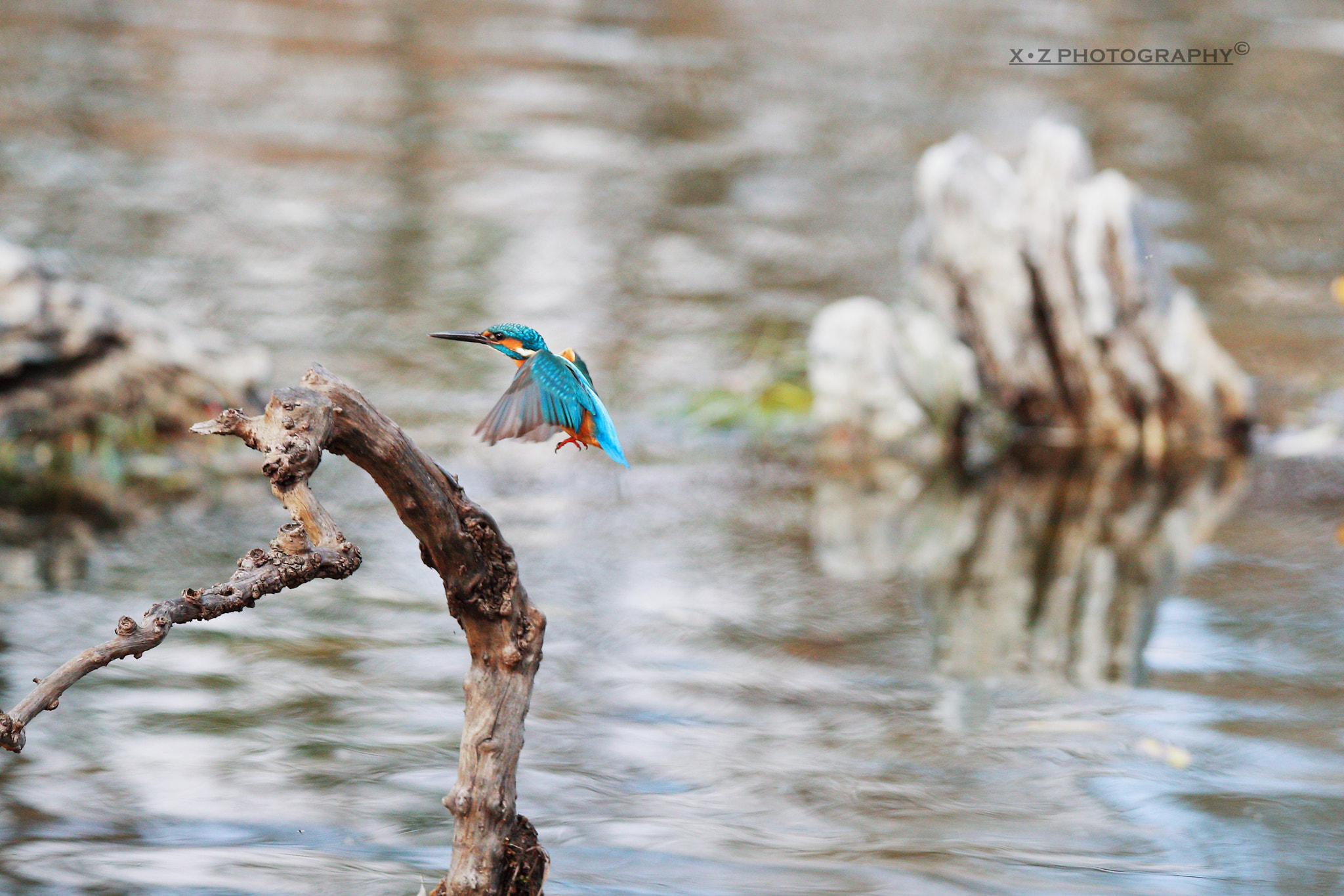 Canon EOS-1D X Mark II sample photo