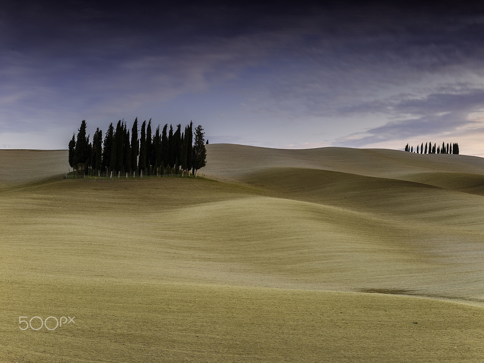 Phase One IQ3 100MP + Schneider Kreuznach LS 80mm f/2.8 sample photo. Cipressini photography