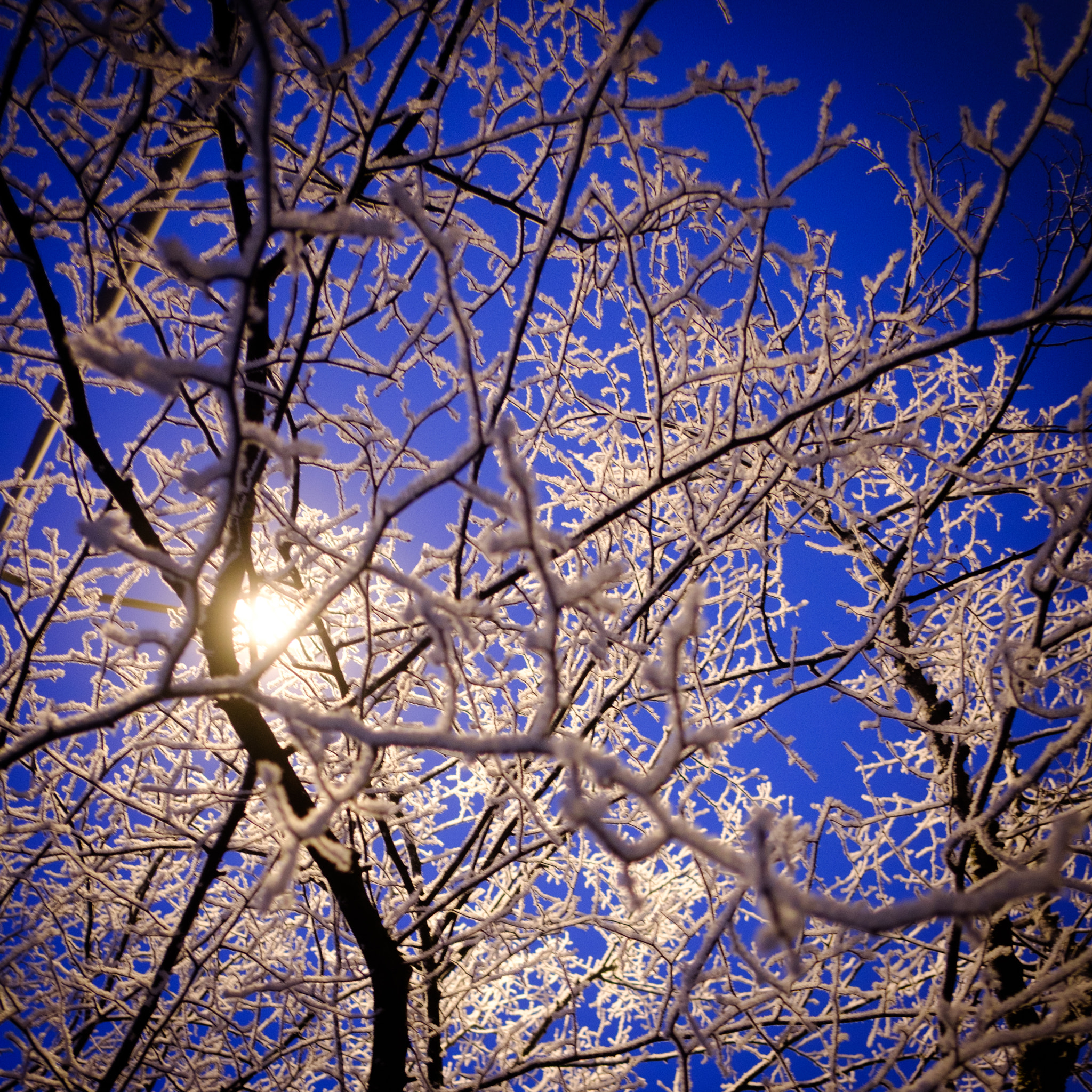 Fujifilm XF 18mm F2 R sample photo. Snow! photography