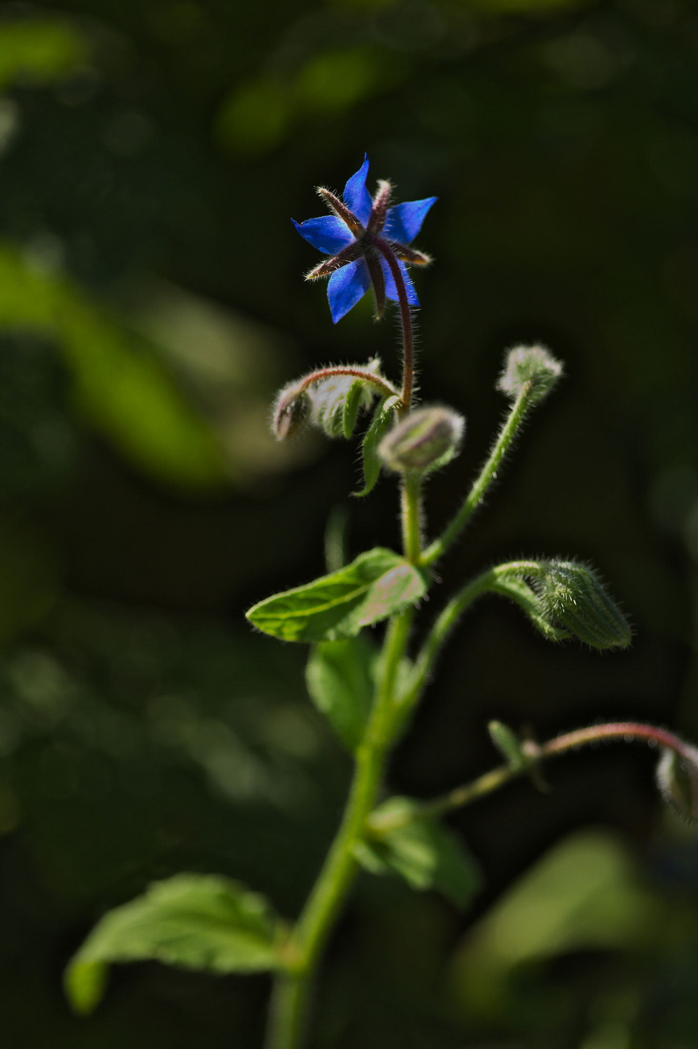 Canon EOS 5D sample photo. Img_2469.jpg photography