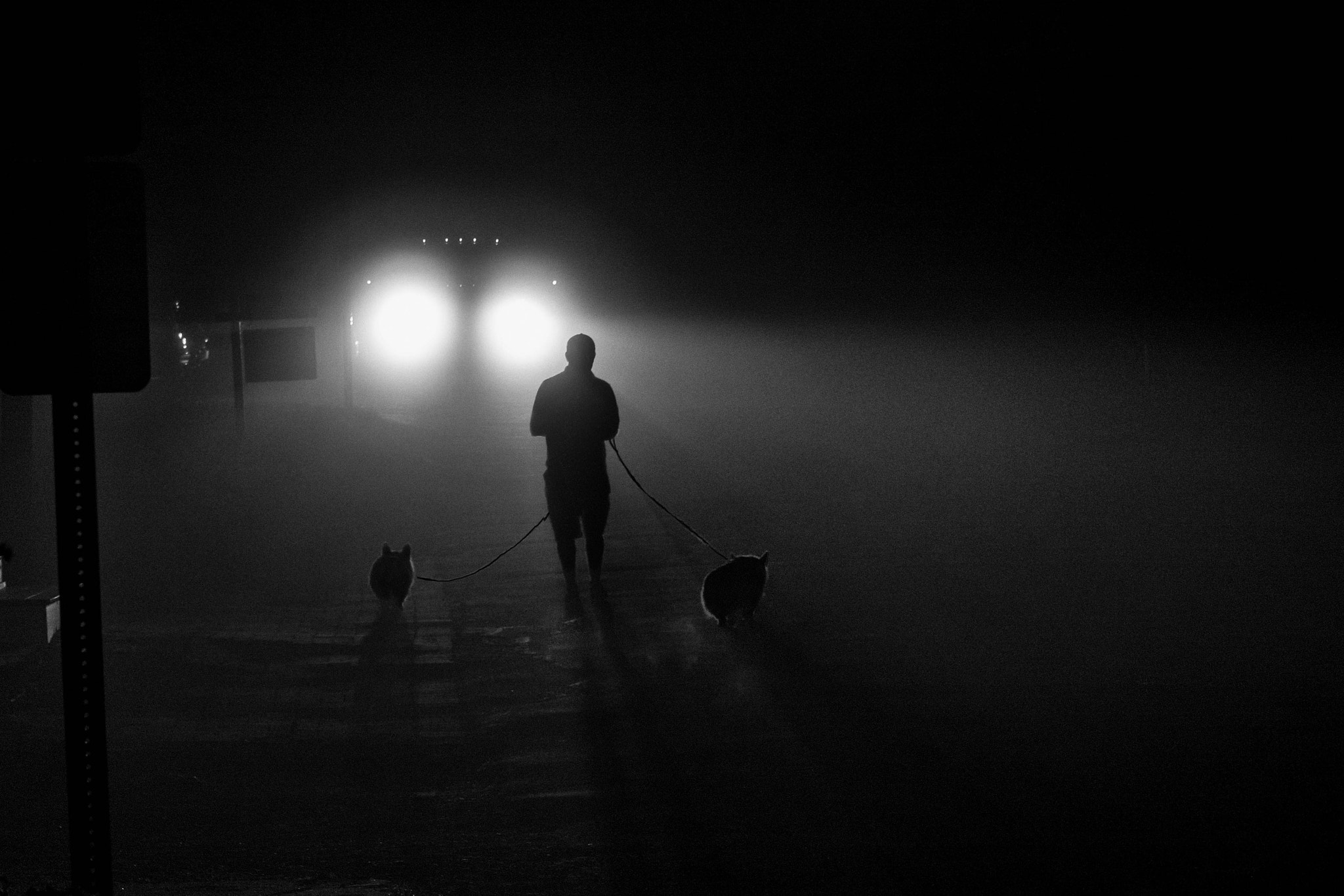 Panasonic Lumix DMC-GX8 + Olympus M.Zuiko Digital ED 12-40mm F2.8 Pro sample photo. The encounter. photography