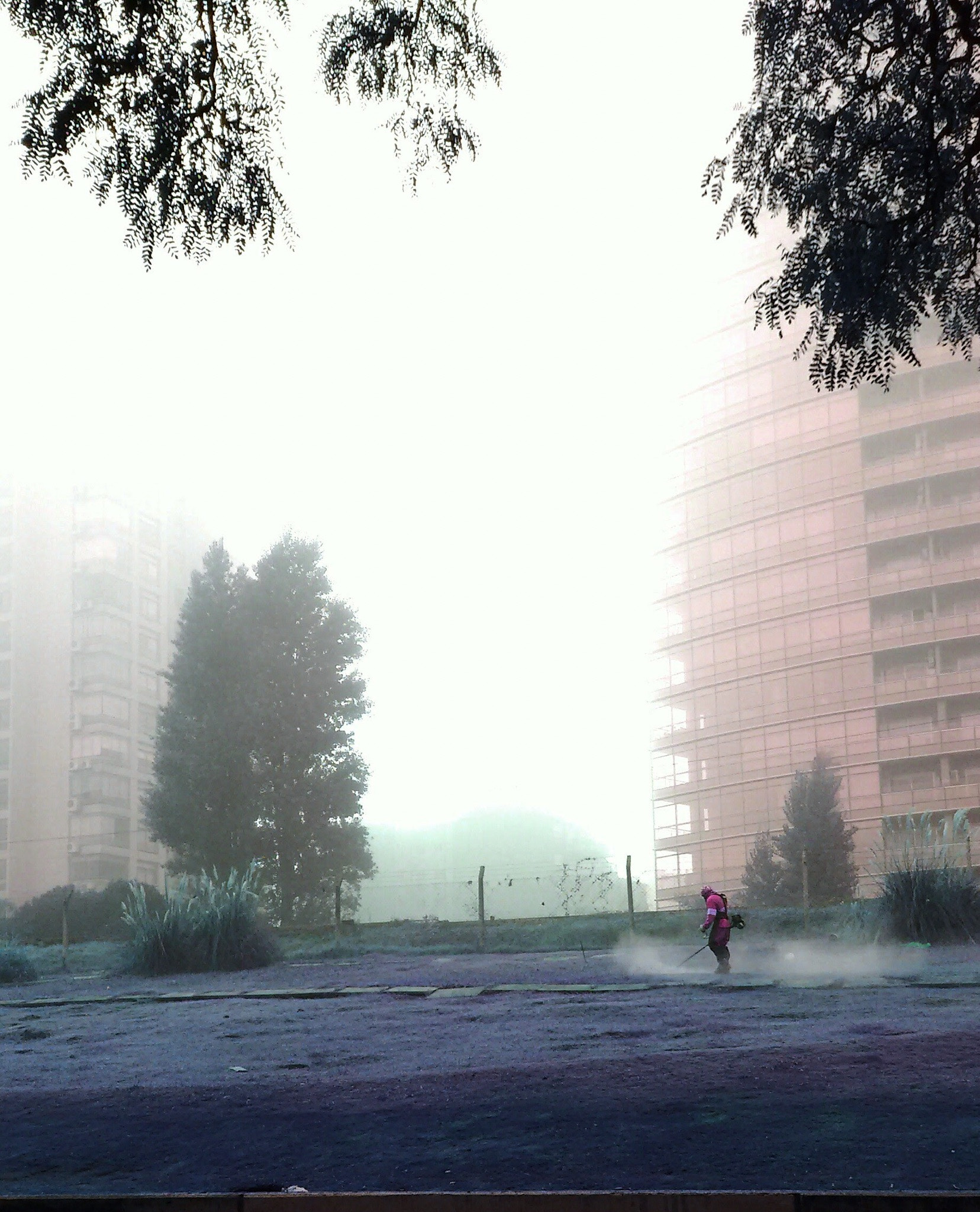 Motorola Moto G with 4G LTE (2nd Gen) sample photo