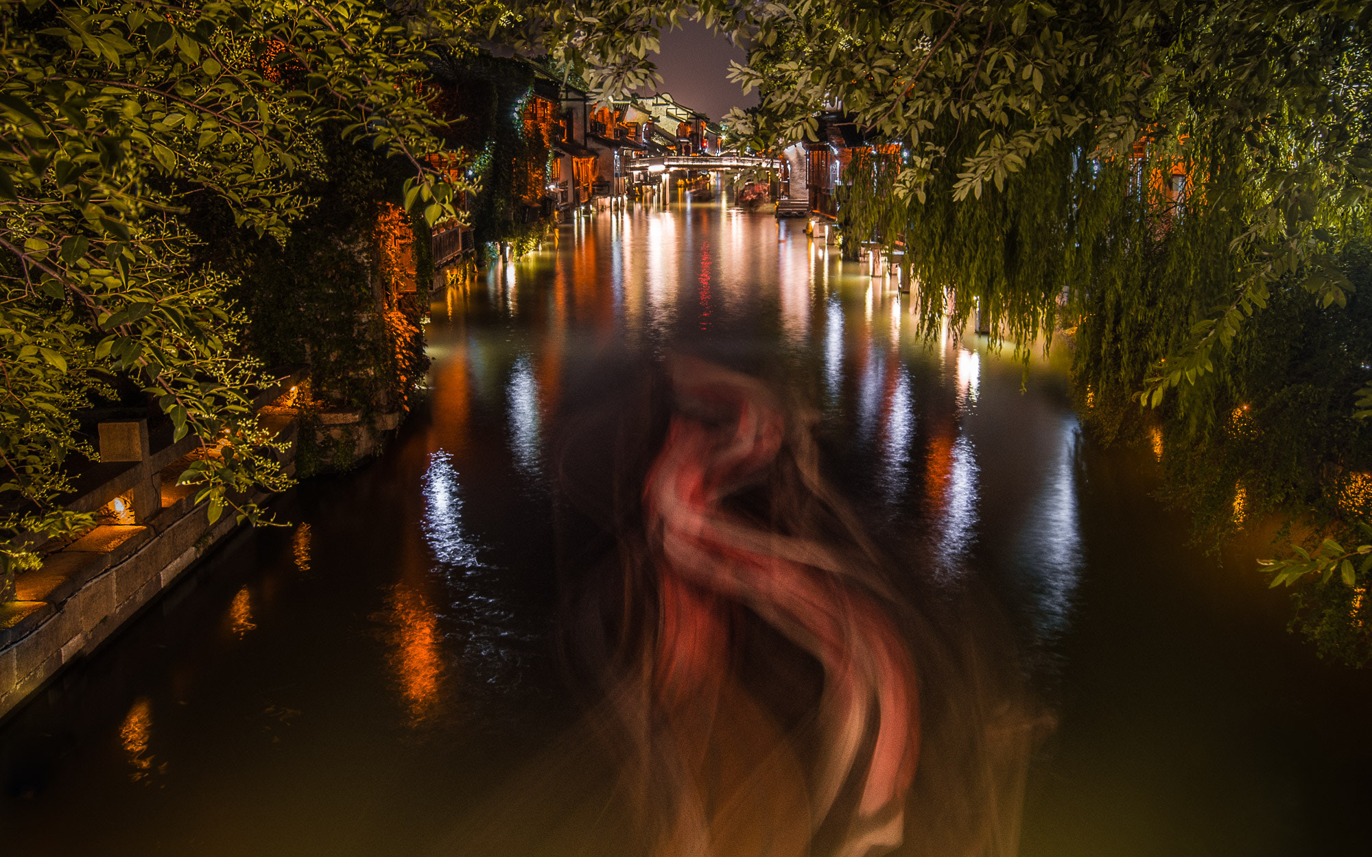 Sigma 10-20mm F3.5 EX DC HSM sample photo. Dragon furtif photography