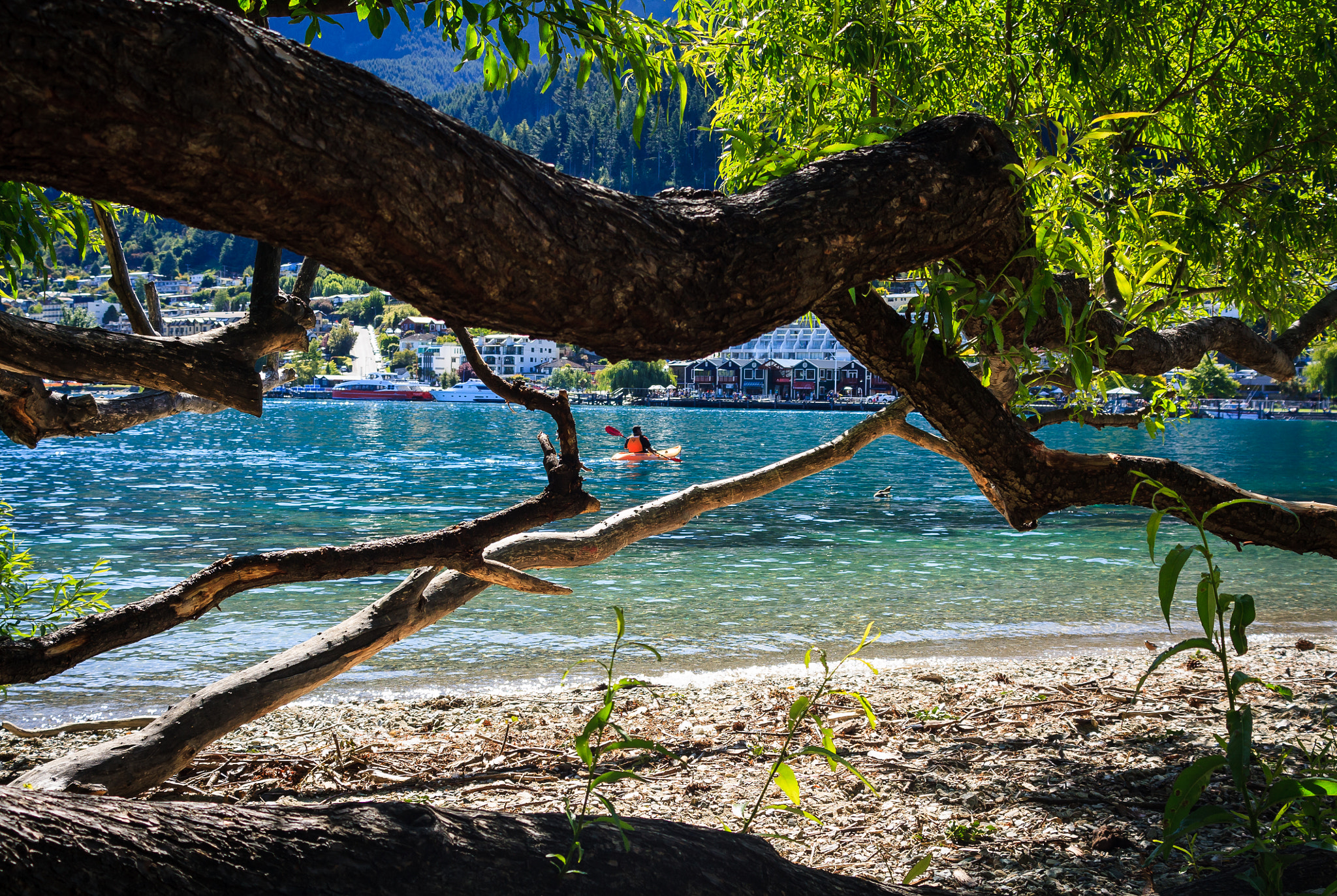 Canon EOS 450D (EOS Rebel XSi / EOS Kiss X2) + Tamron AF 28-200mm F3.8-5.6 XR Di Aspherical (IF) Macro sample photo. Tree by the lake, queenstown photography