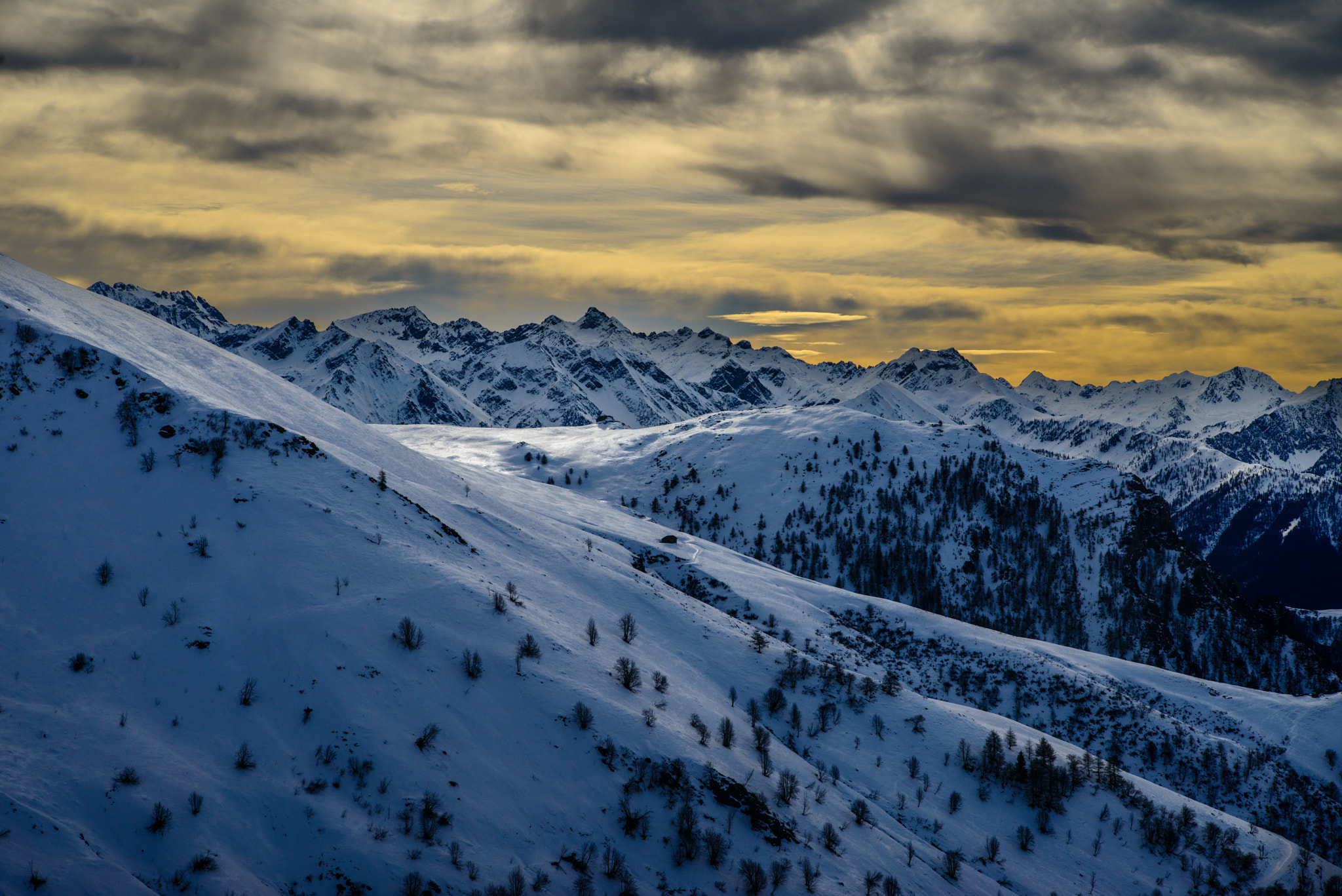 Nikon D800 sample photo. Winter light photography