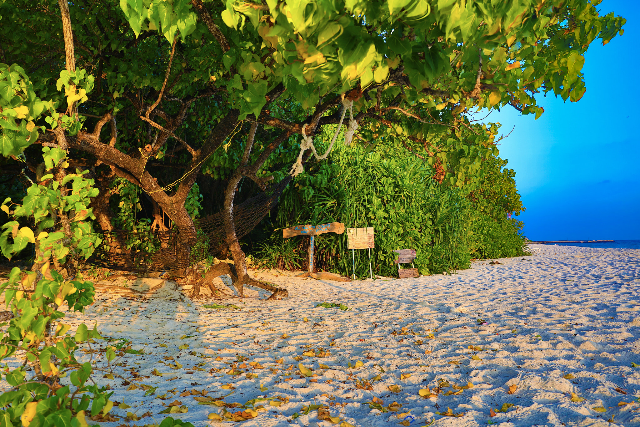 Canon EF 24-70mm F4L IS USM sample photo. Maldives island beach ukulhas photography