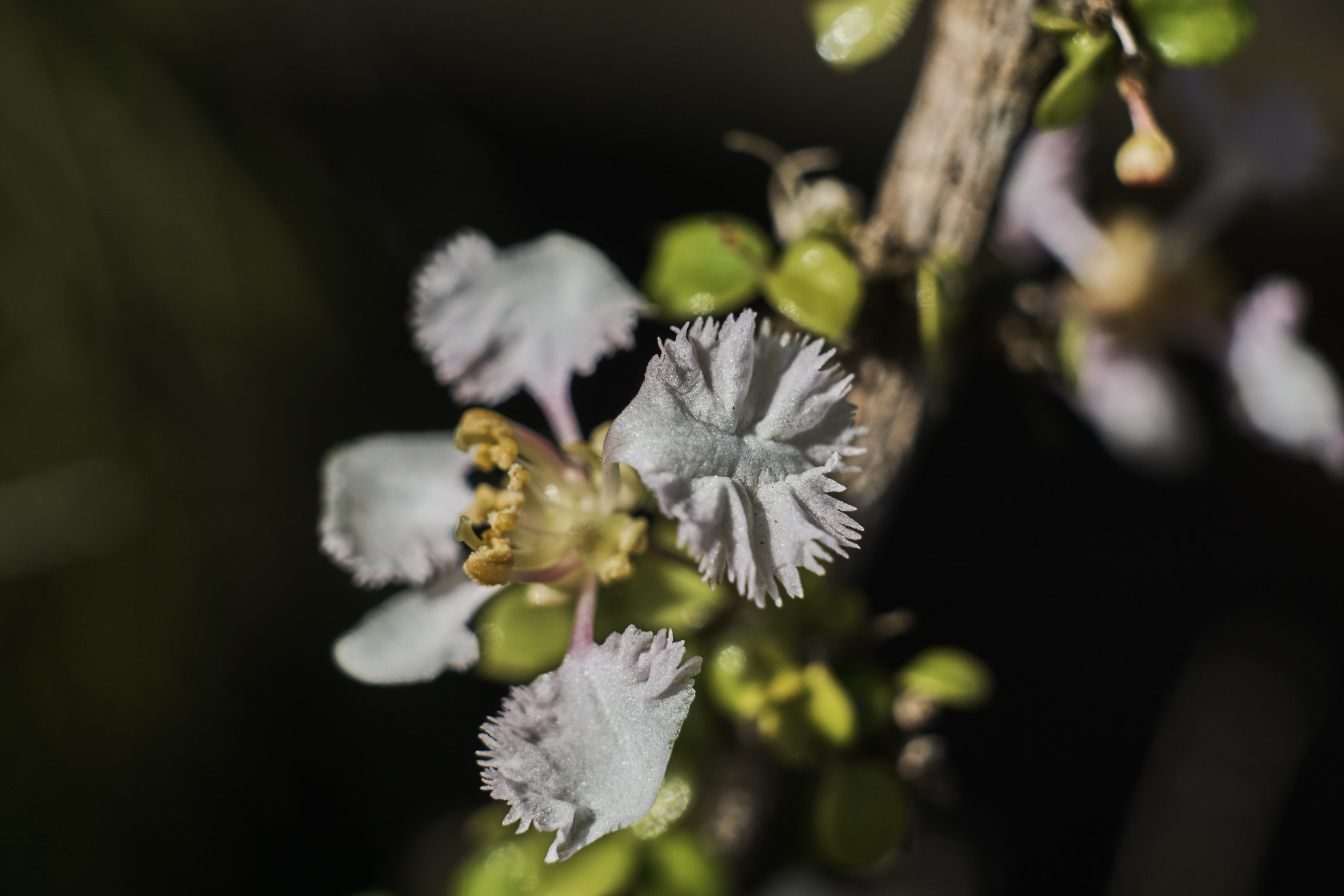 Sigma 30mm F2.8 EX DN sample photo. Emptyname photography