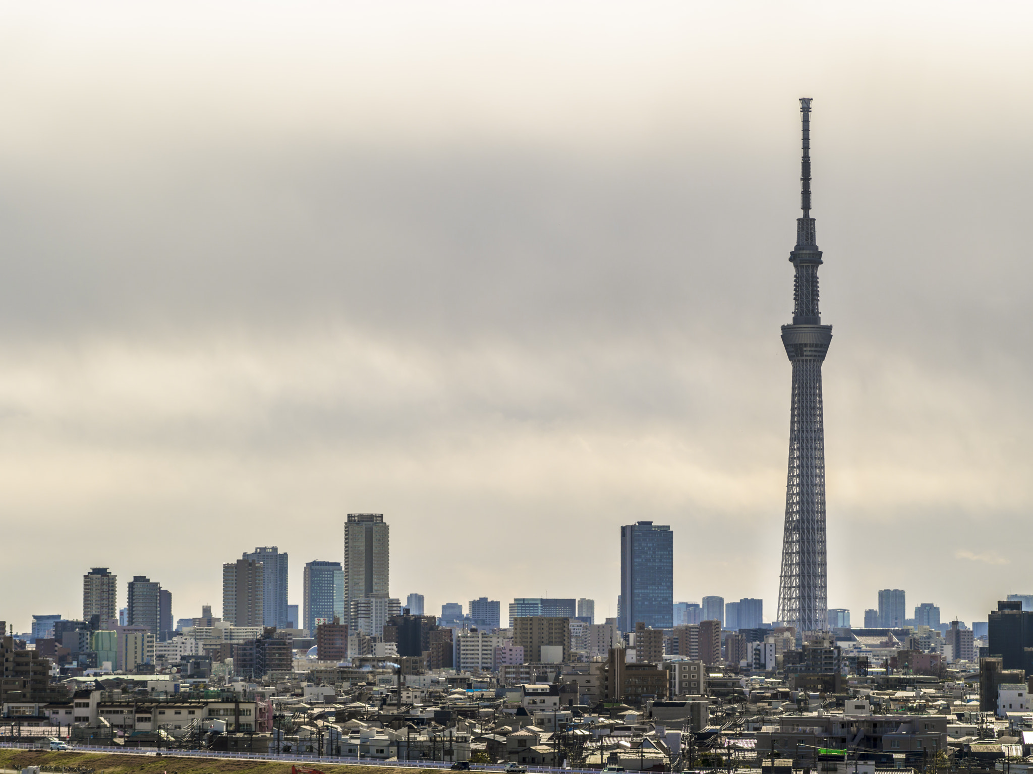 Pentax 645D + smc PENTAX-FA 645 80-160mm F4.5 sample photo. Tokyo photography