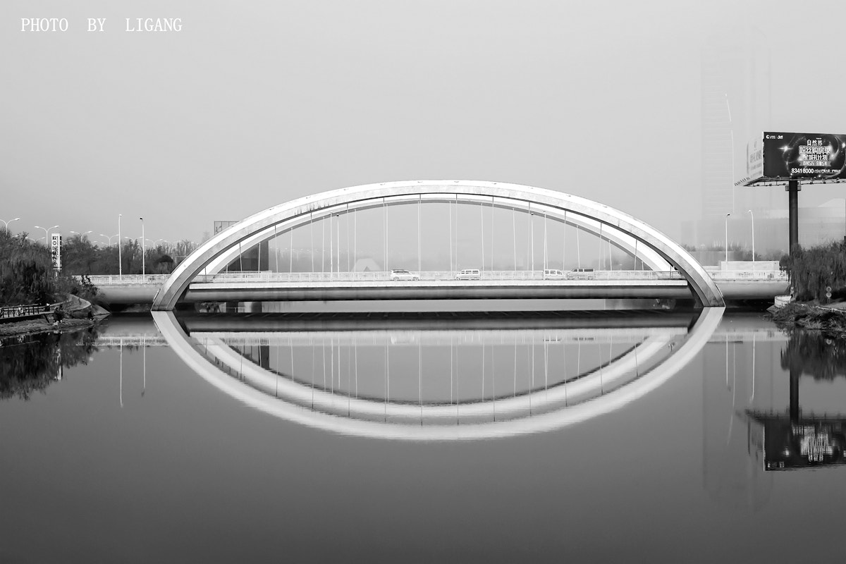 Nikon D3100 sample photo. The reflection of the bridge photography
