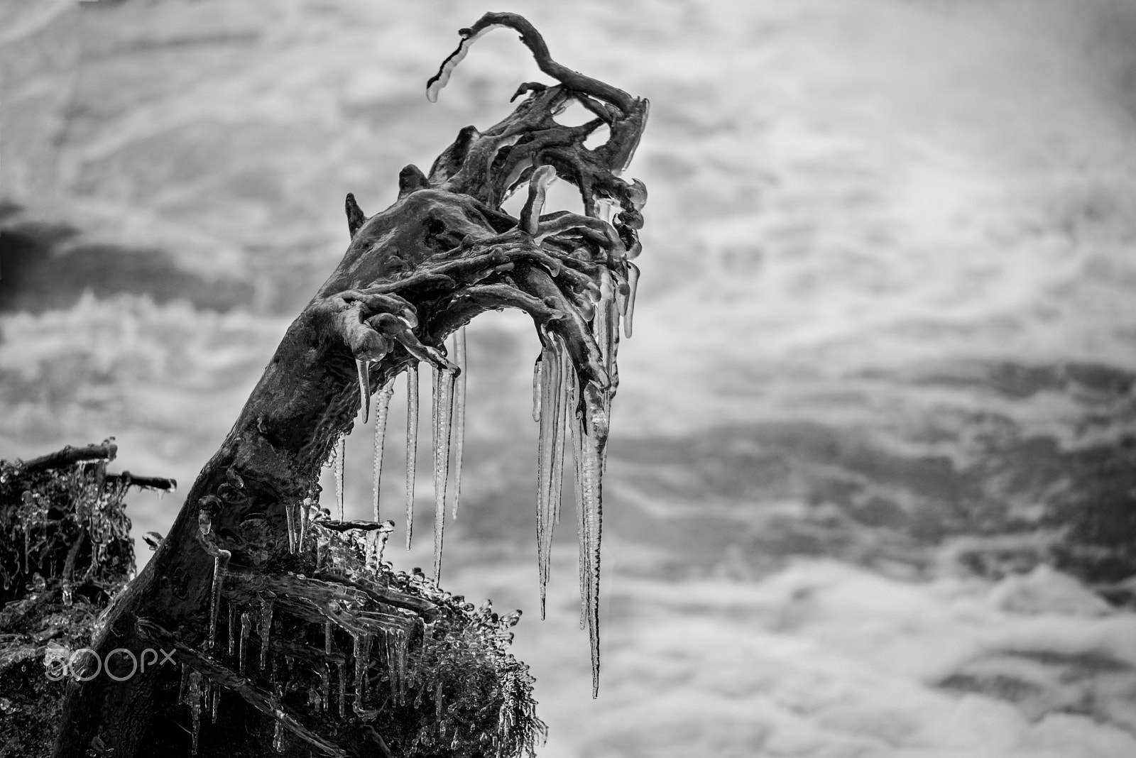 Nikon D810 + Tamron SP 70-300mm F4-5.6 Di VC USD sample photo. Ice monster photography
