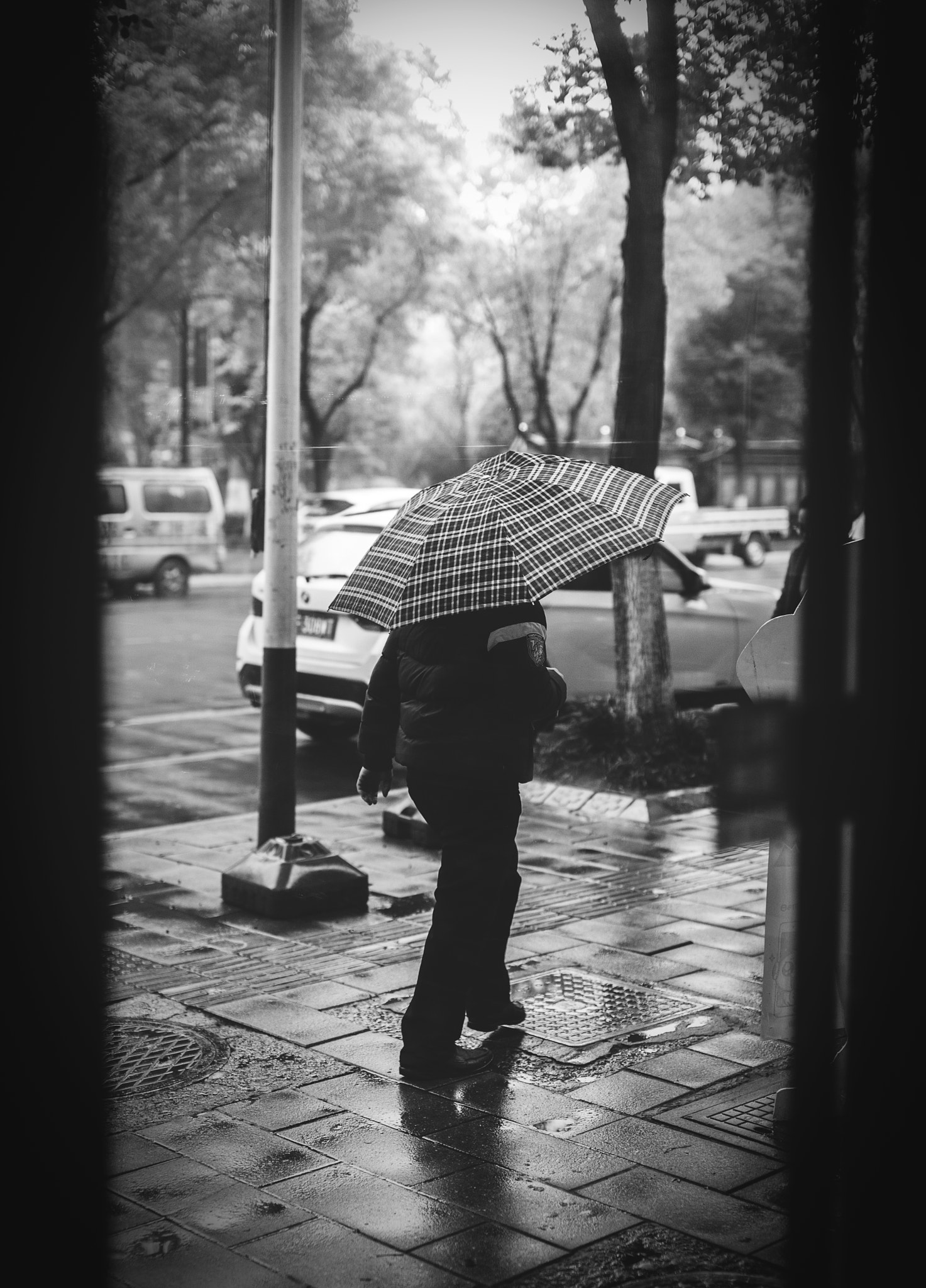 Nikon D750 + Sigma 50mm F1.4 EX DG HSM sample photo. 雨天路人 photography