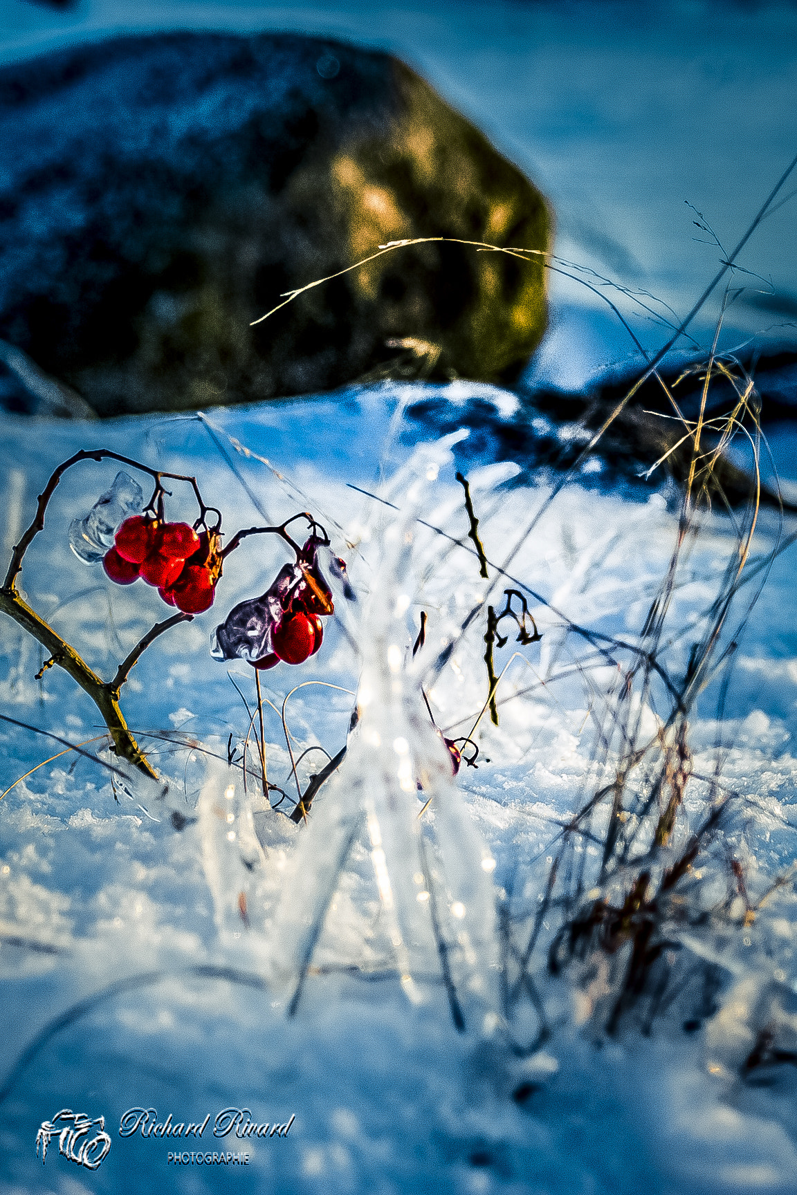 Canon EOS 700D (EOS Rebel T5i / EOS Kiss X7i) + Canon EF 17-40mm F4L USM sample photo. Have a good day! photography