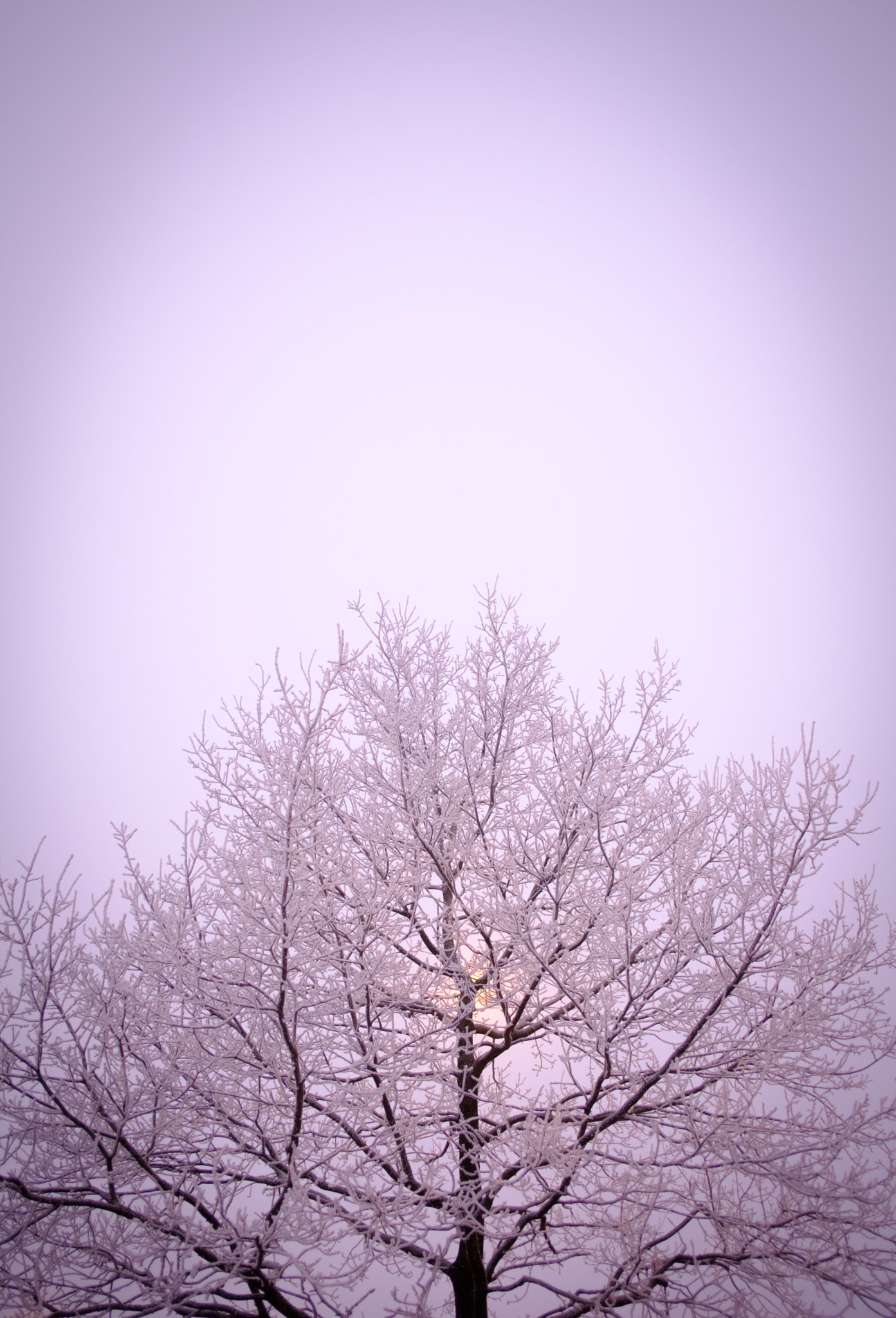 Fujifilm XF 18mm F2 R sample photo. Blue day photography