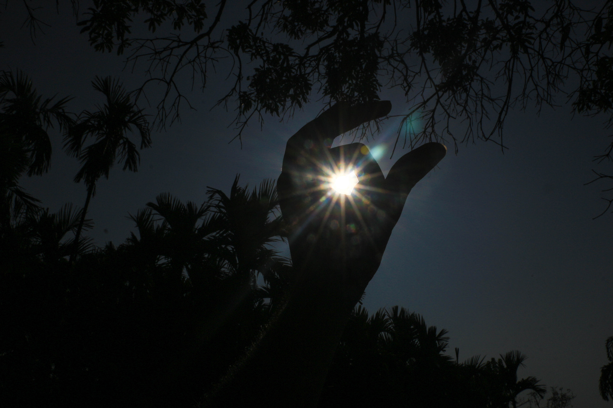 Canon EOS 100D (EOS Rebel SL1 / EOS Kiss X7) sample photo. ... photography