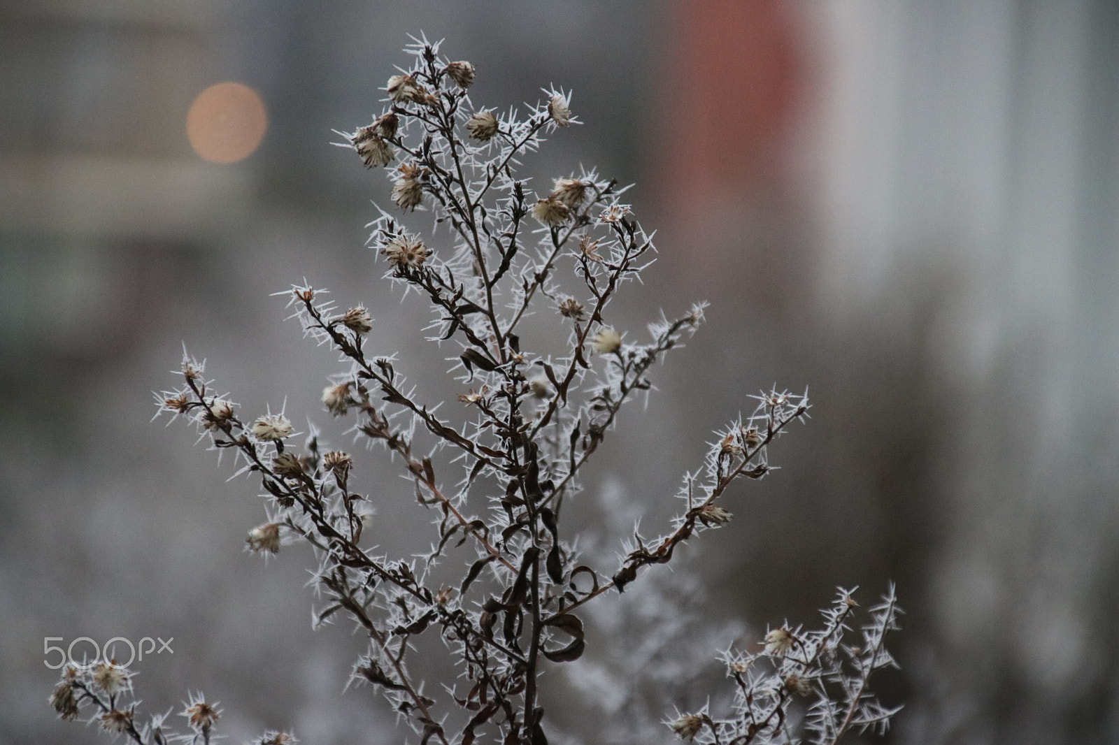 Canon EOS 750D (EOS Rebel T6i / EOS Kiss X8i) sample photo. Ice spikes photography
