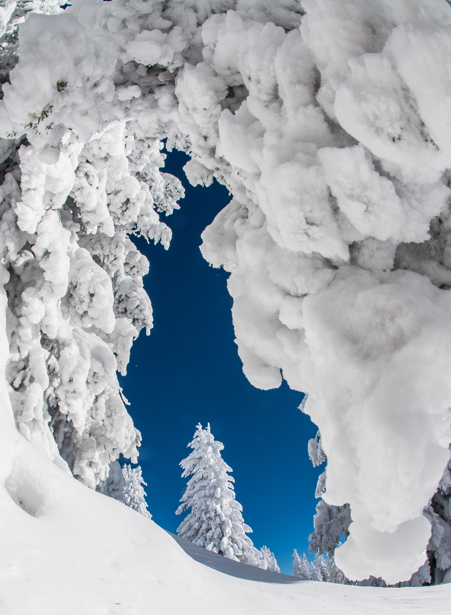 Nikon D750 + Sigma 10mm F2.8 EX DC HSM Diagonal Fisheye sample photo. Beautiful day photography