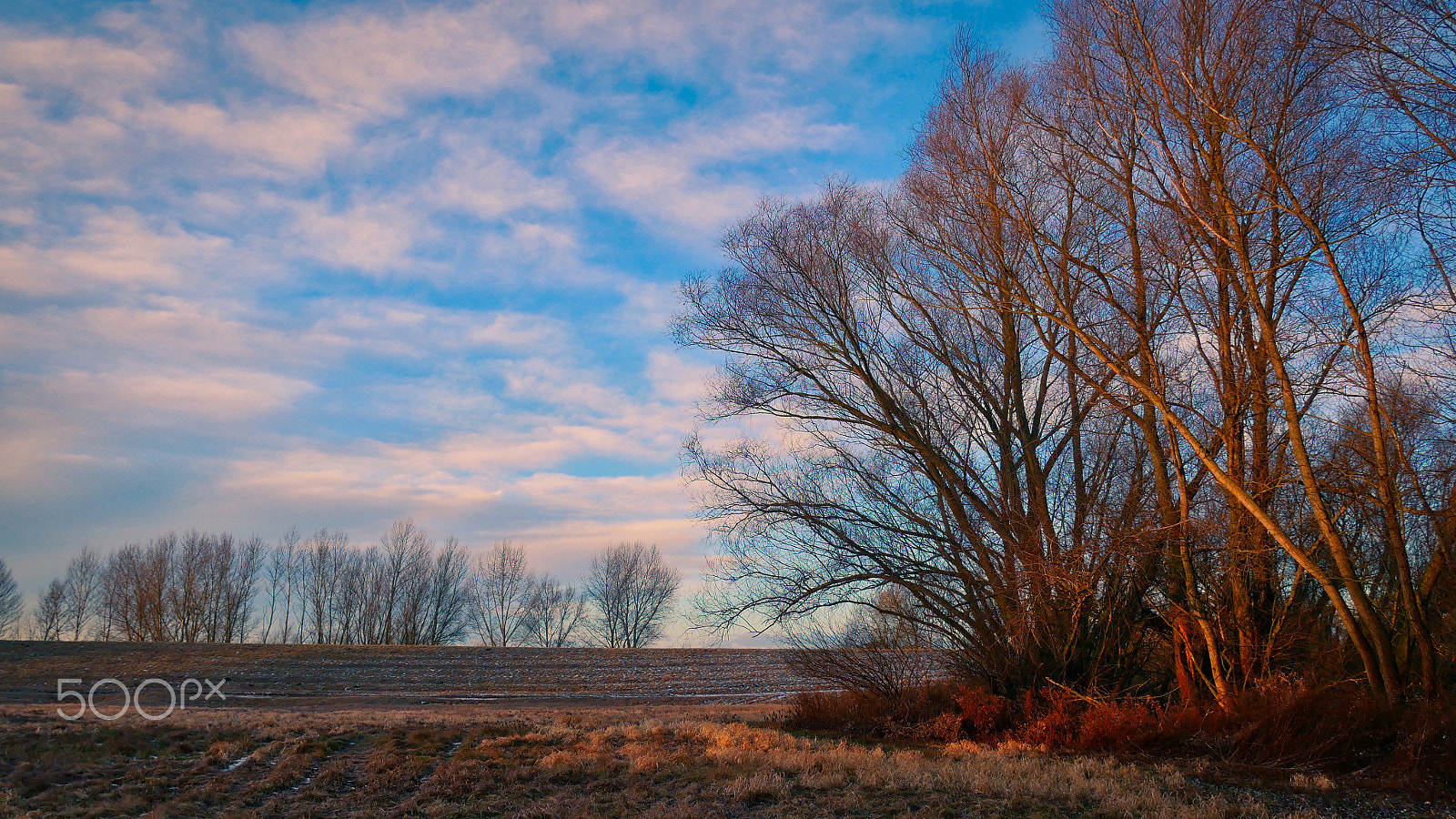 Panasonic Lumix DMC-GX85 (Lumix DMC-GX80 / Lumix DMC-GX7 Mark II) sample photo. Winter morning iii. photography
