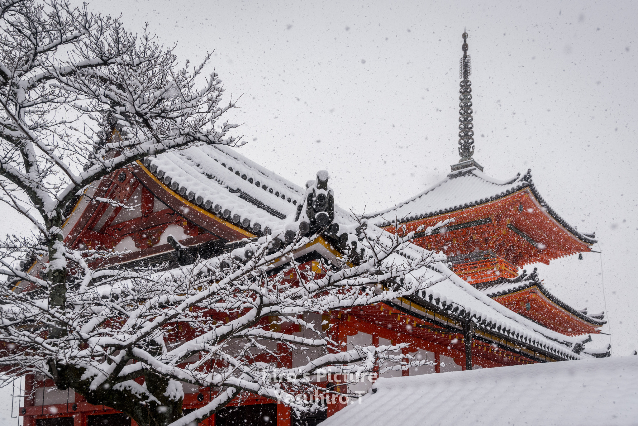 Nikon D800E sample photo. Kiyomizu-dera temple photography