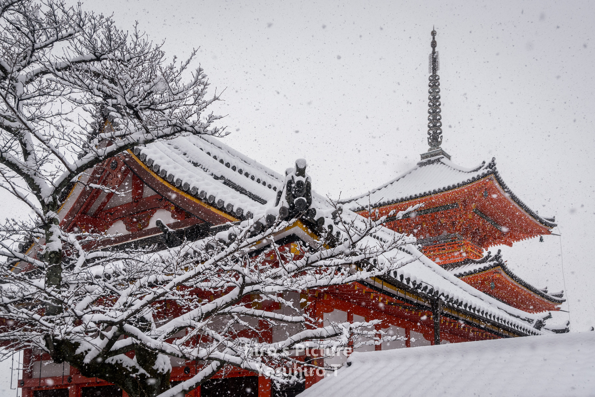 Nikon D800E + Sigma 24-105mm F4 DG OS HSM Art sample photo. Kiyomizu-dera temple photography