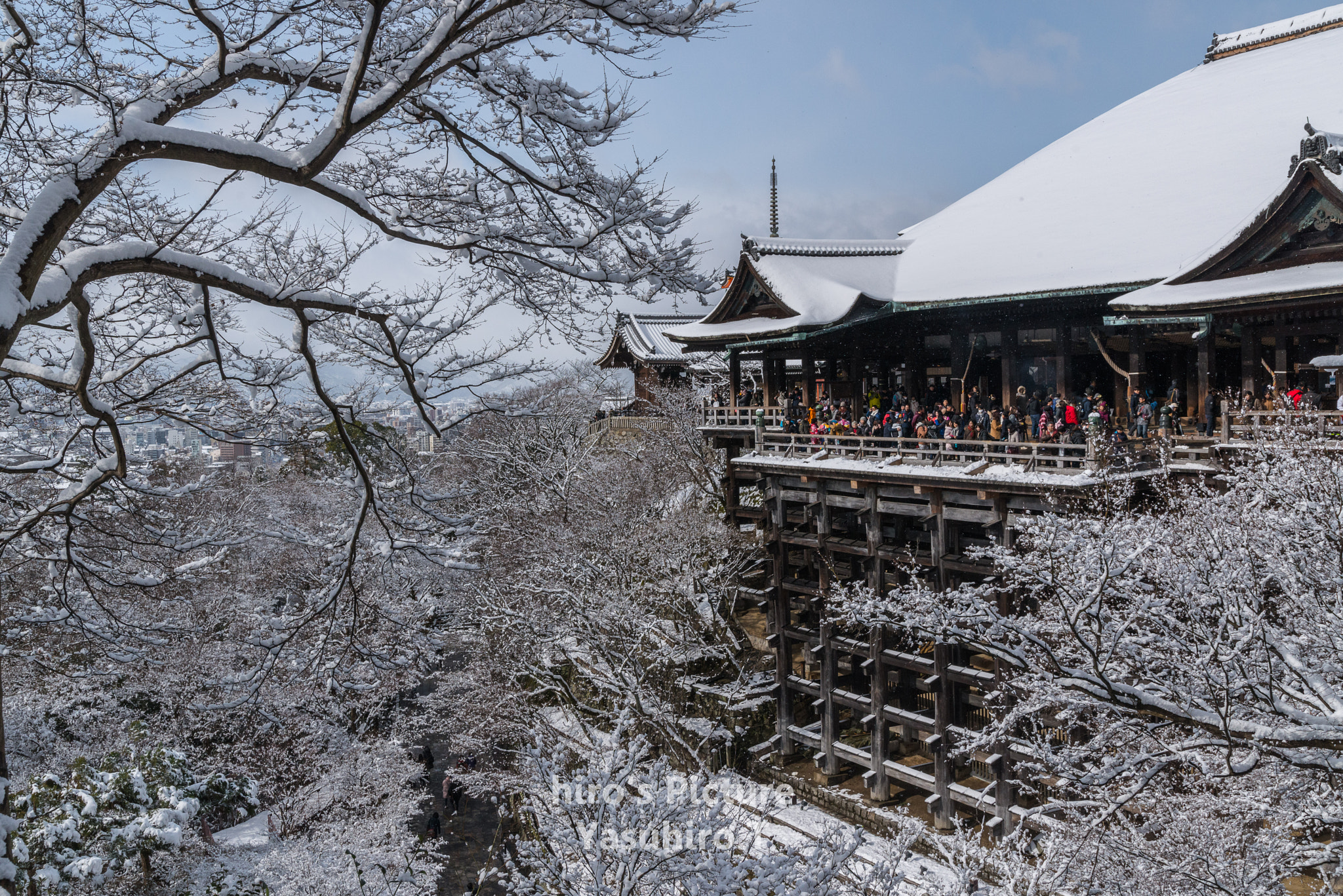 Nikon D800E sample photo. Kiyomizu-dera temple photography