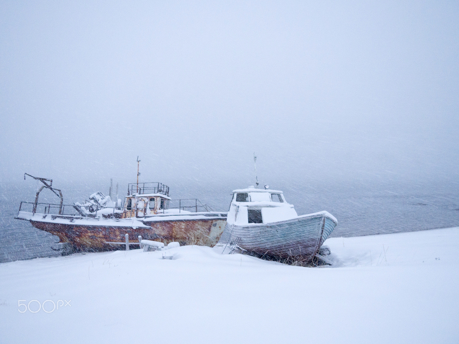 Olympus M.Zuiko Digital 14-42mm F3.5-5.6 II R sample photo. Blizzard photography