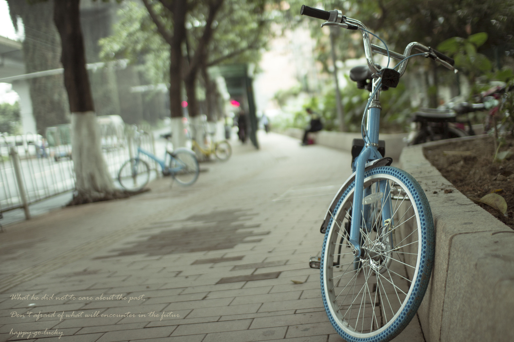 Sigma 30mm F1.4 EX DC HSM sample photo. Img photography