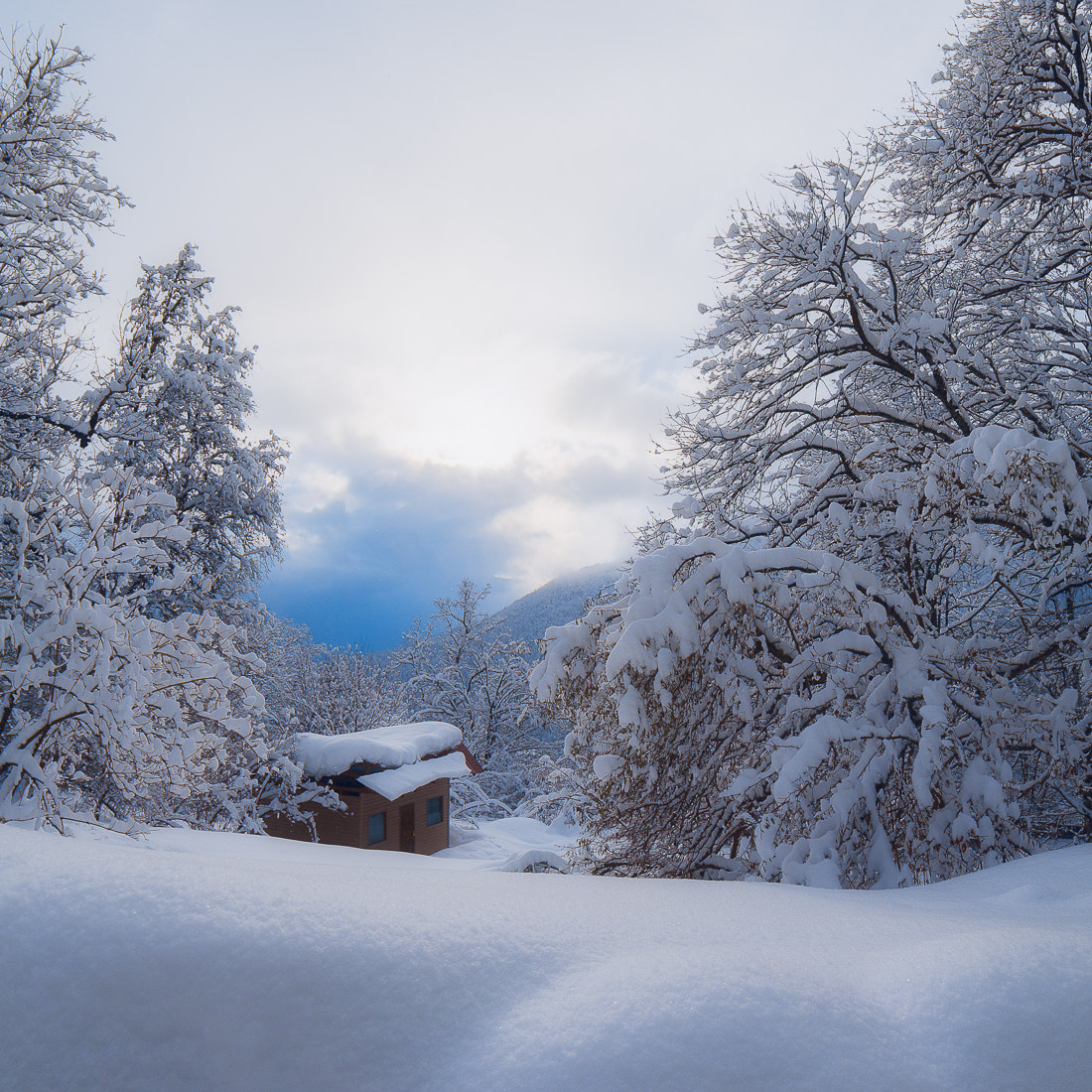 Samyang 14mm F2.8 ED AS IF UMC sample photo. Sad house photography