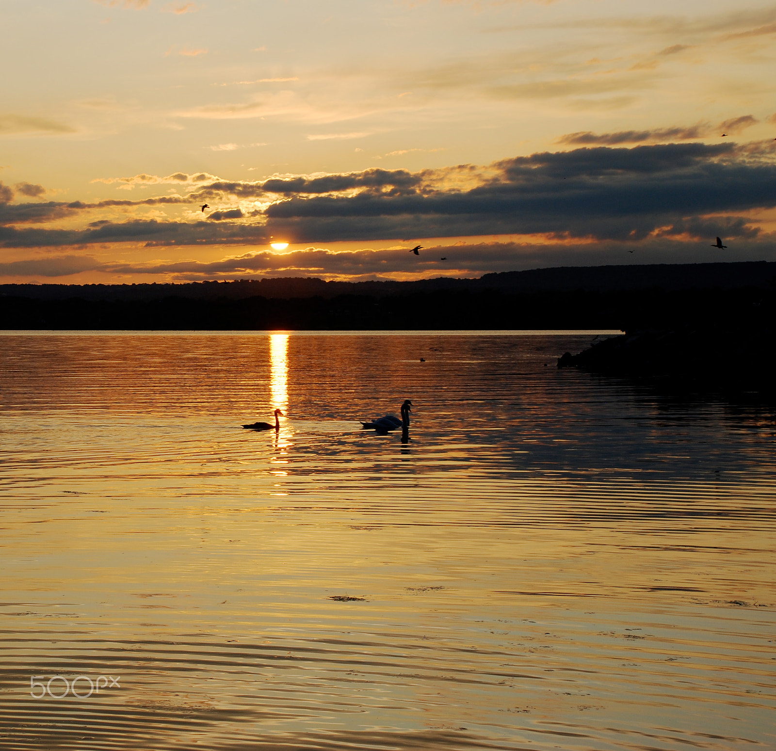 Nikon D60 sample photo. Sunrise, oakville ontario photography