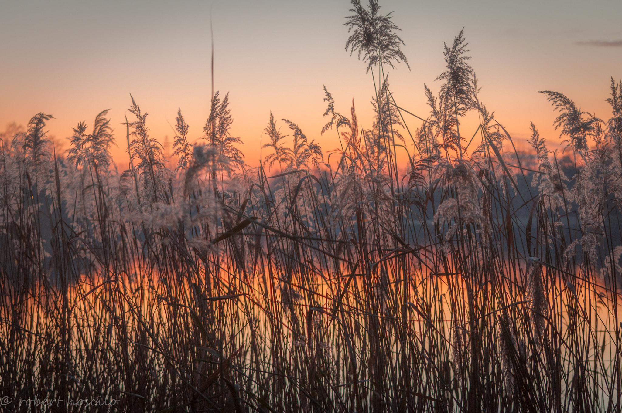 Nikon D5000 sample photo. Robert hoscilo photography