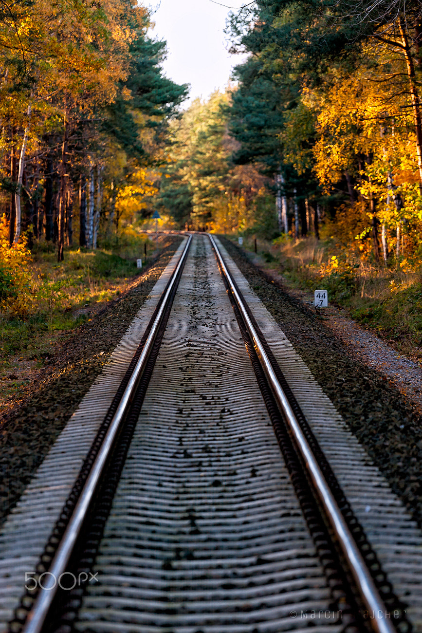 Canon EOS-1D Mark II N sample photo. Poland, railway line #213 photography