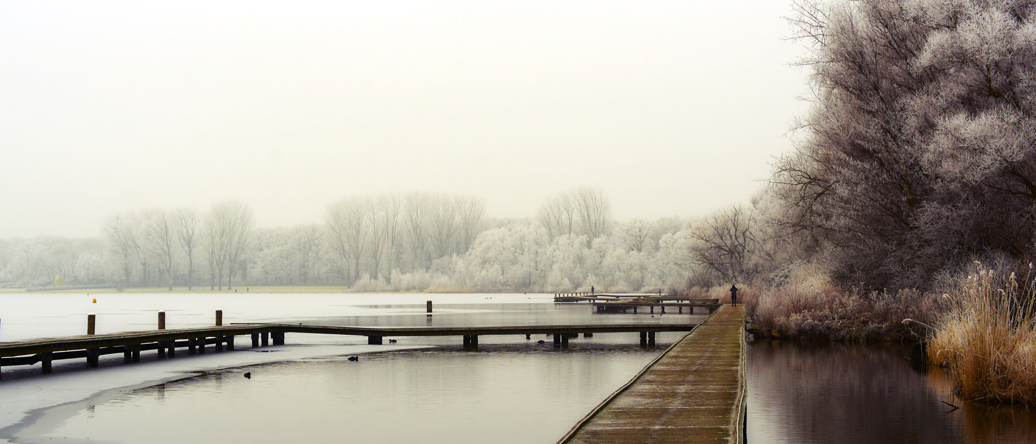 Sony ILCA-77M2 + Sony DT 50mm F1.8 SAM sample photo. Winter wonderland (dreamy version) photography