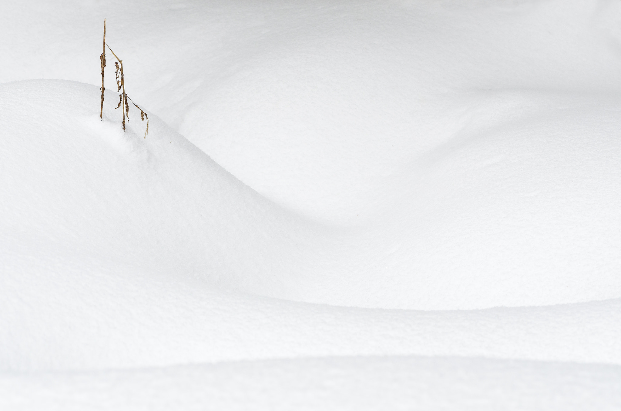 Nikon AF-Nikkor 80-200mm F2.8D ED sample photo. V a l l e y photography