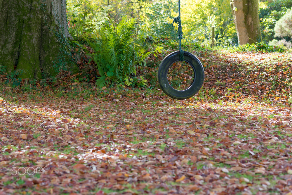 Nikon D5500 + Nikon AF-S Nikkor 85mm F1.8G sample photo. Wheel swing photography