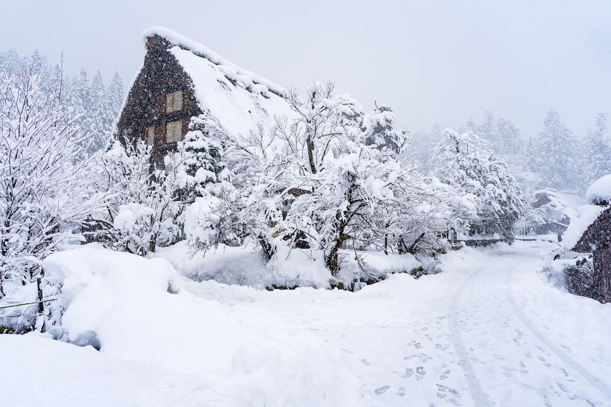 ZEISS Batis 25mm F2 sample photo. Gasshō-zukuri house photography