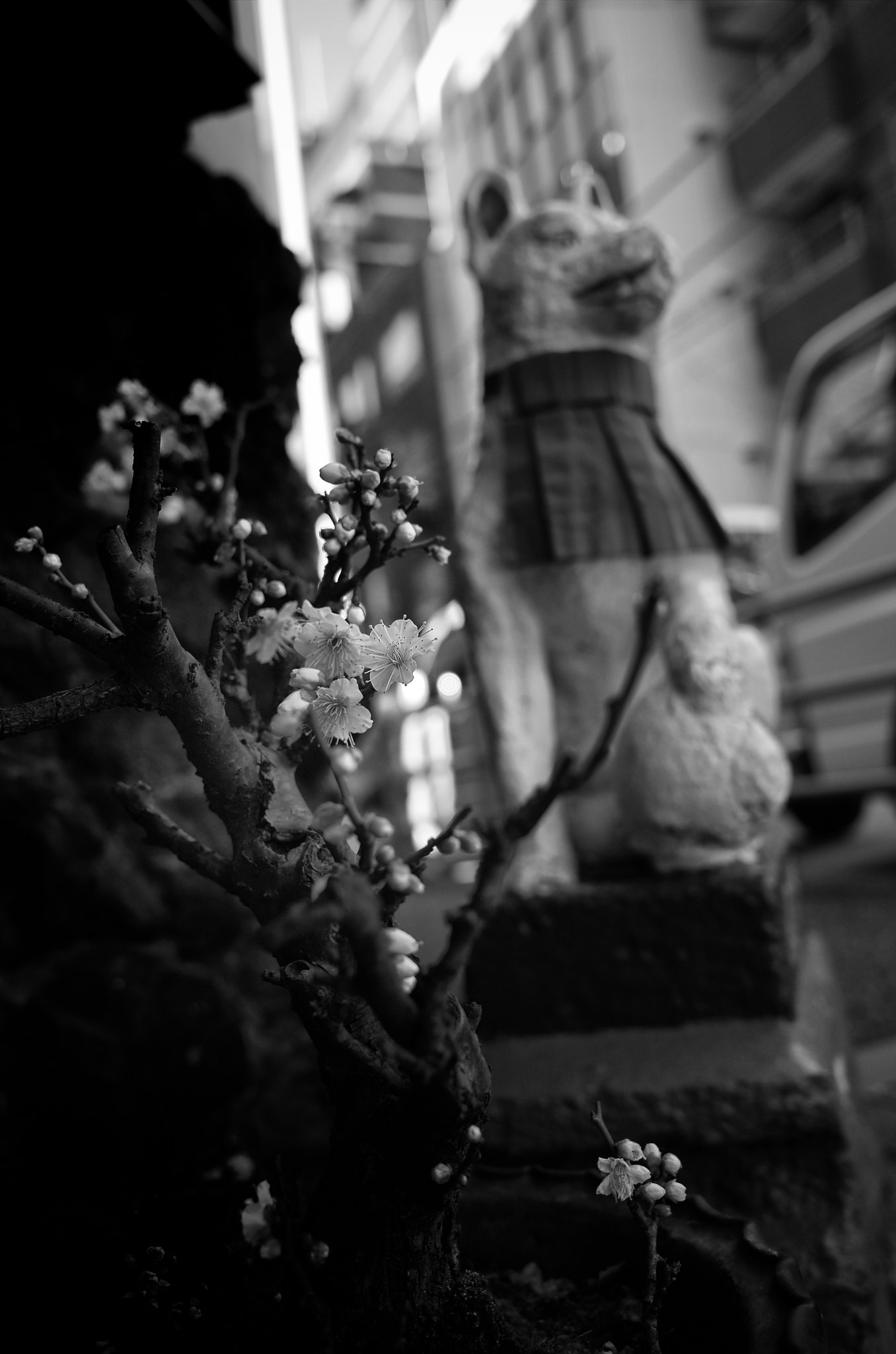 Ricoh GR + GR Lens sample photo. Ume photography