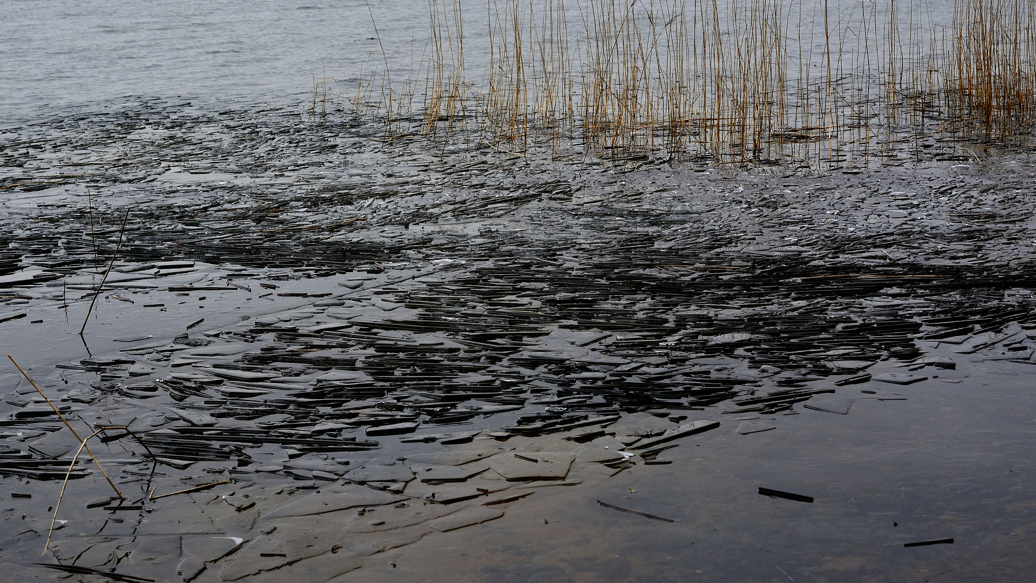 Nikon AF-S DX Micro Nikkor 40mm F2.8 sample photo. Ice on the lake photography