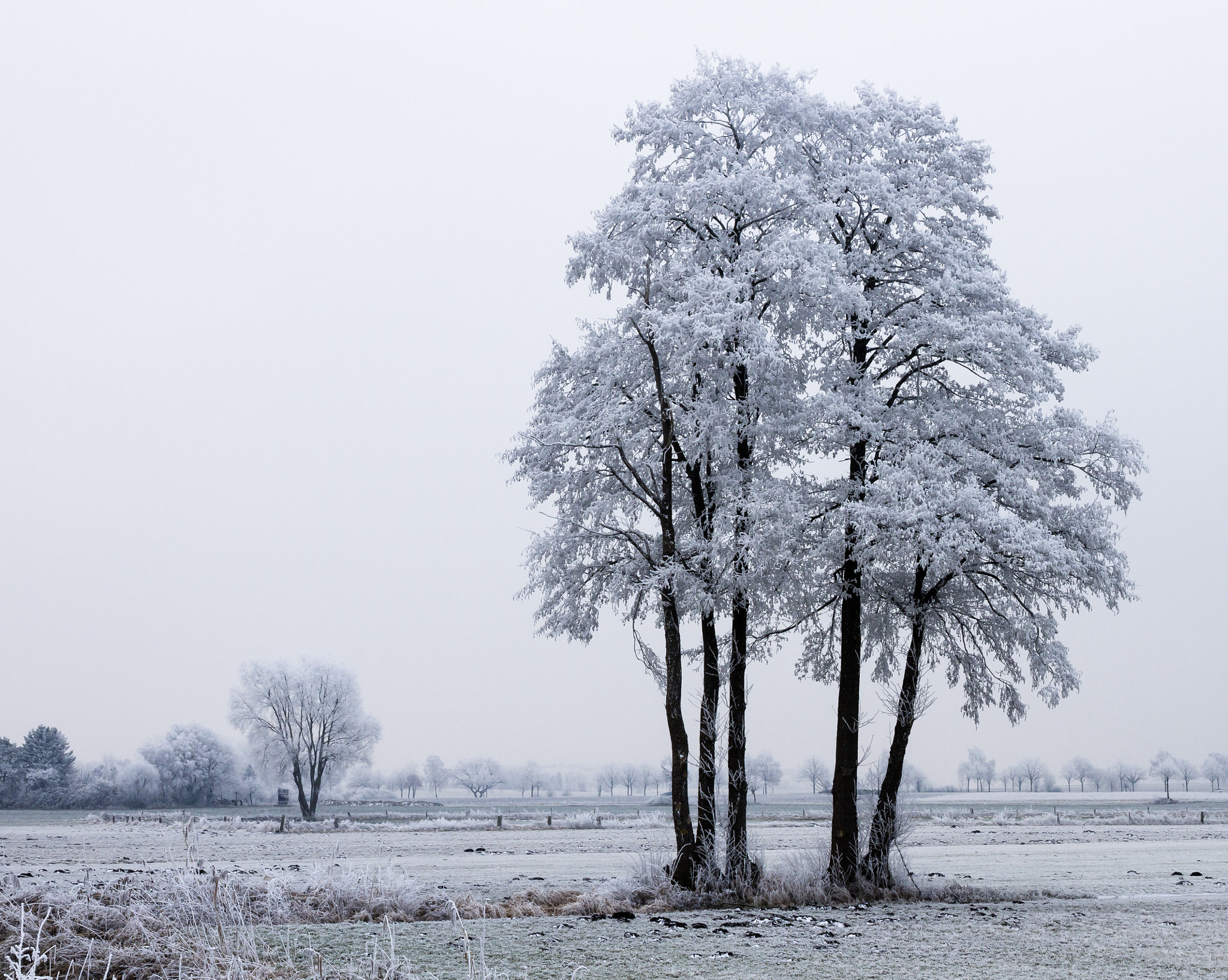 Canon EOS 7D sample photo. Winter landscape photography
