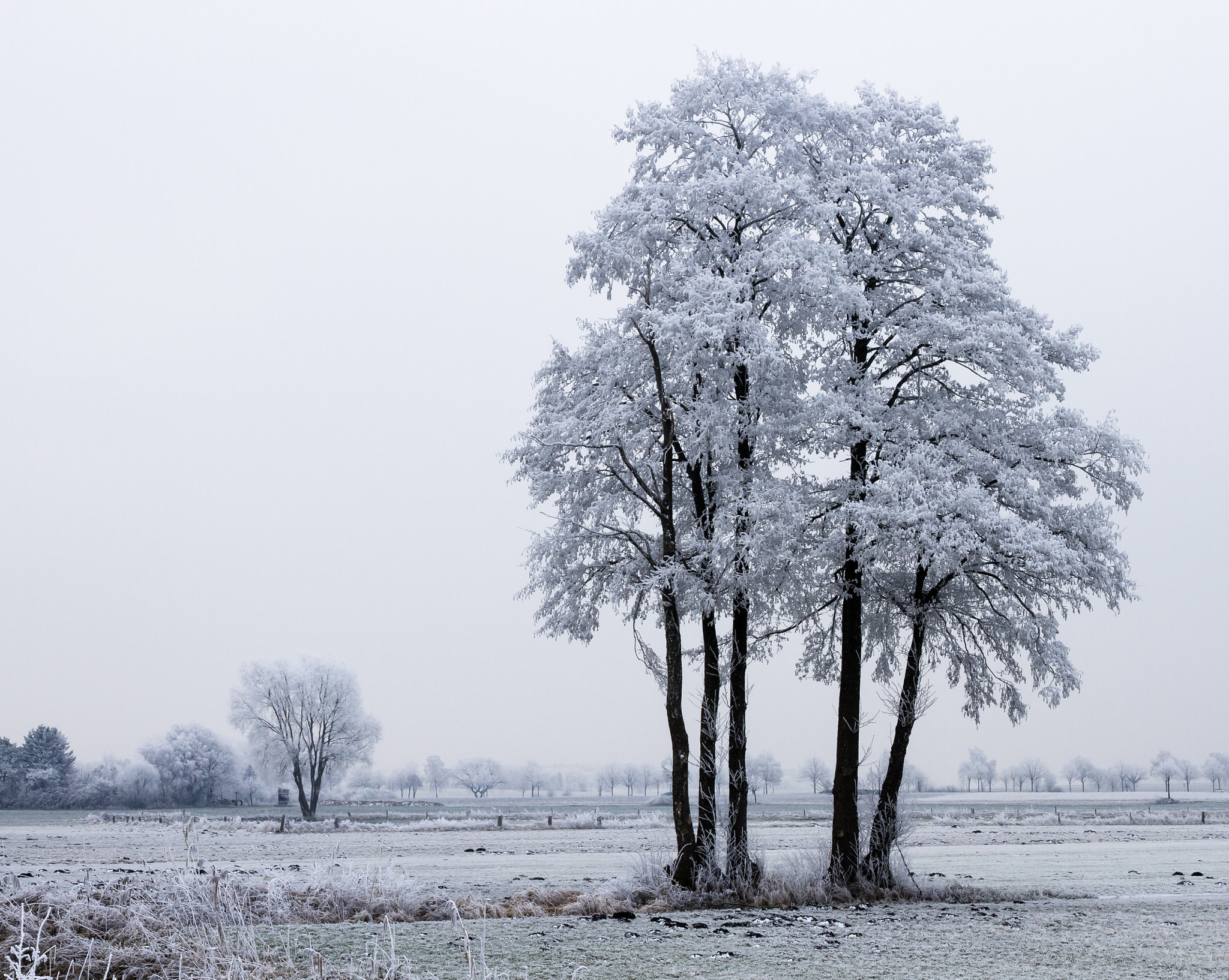 Canon EF 24-70mm F4L IS USM sample photo. Winter landscape photography
