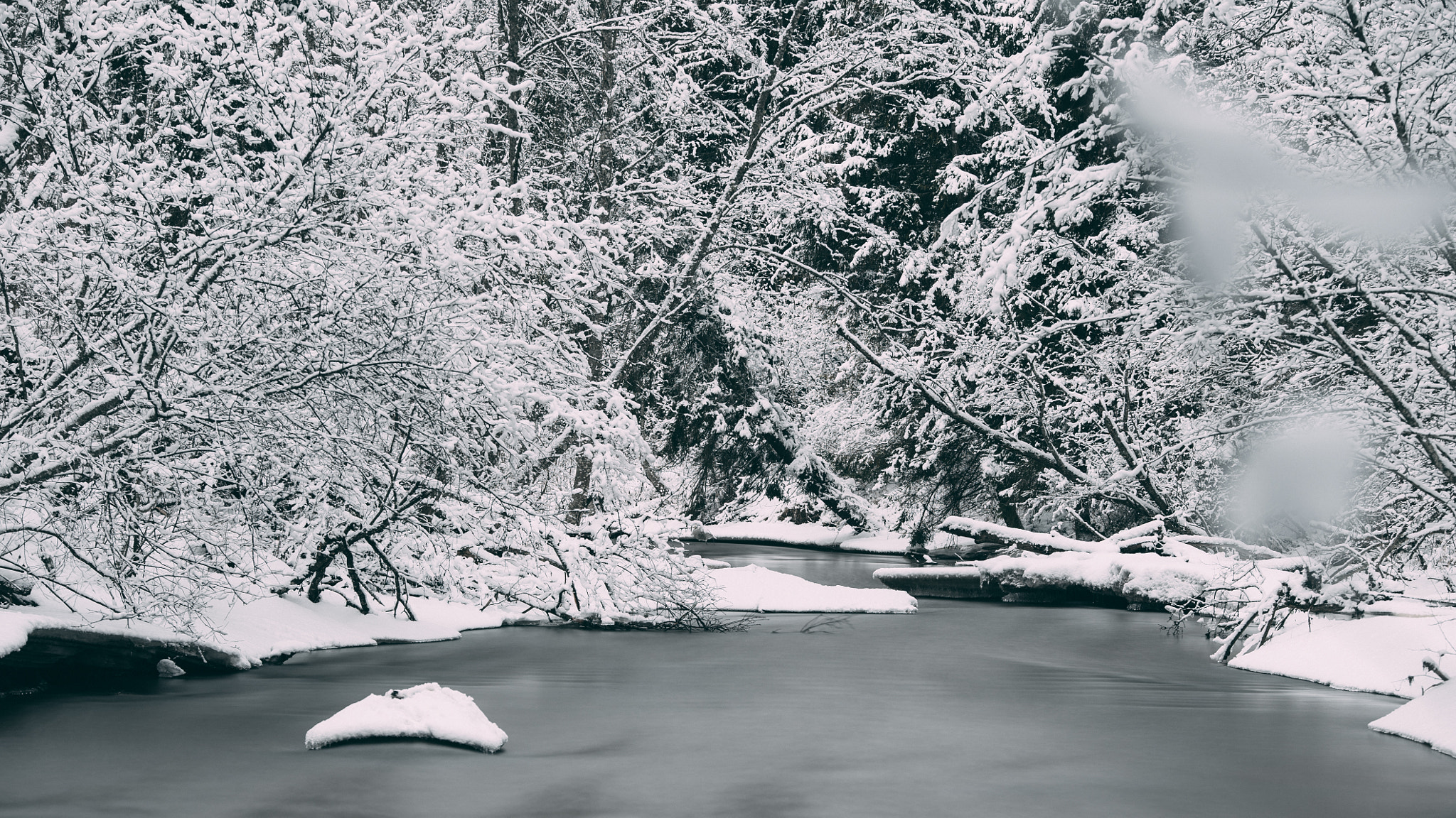 Sony a7S sample photo. Frozen winter mood photography