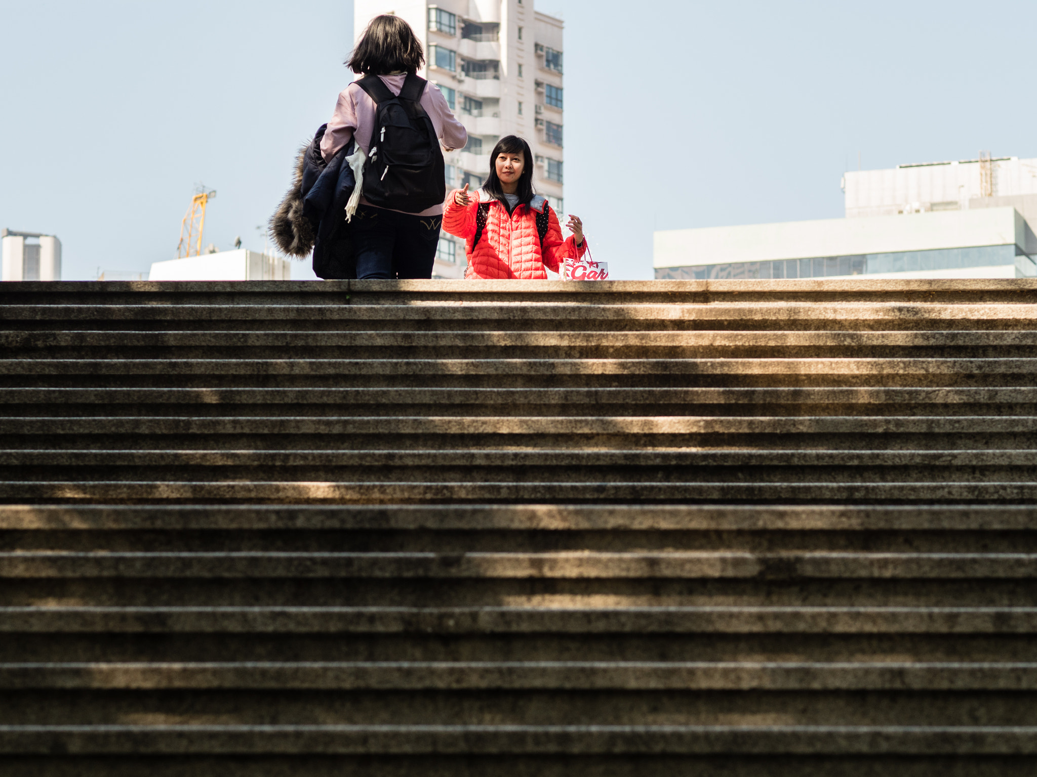 Olympus OM-D E-M5 II + Olympus M.Zuiko Digital ED 75mm F1.8 sample photo. Two friends photography