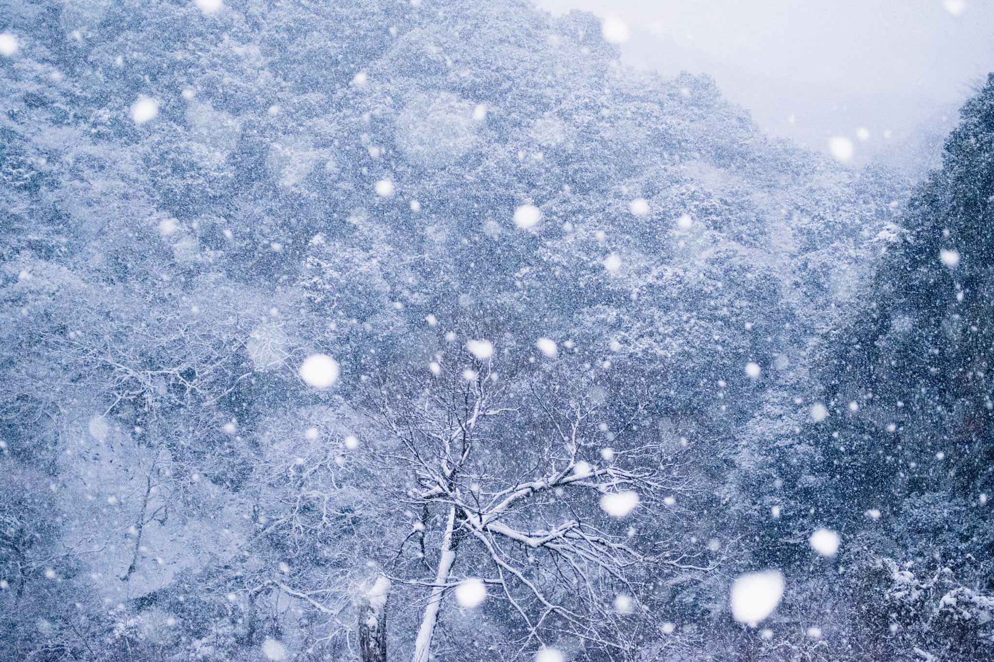 Fujifilm X-T10 + Fujifilm XF 23mm F2 R WR sample photo. Japan photography