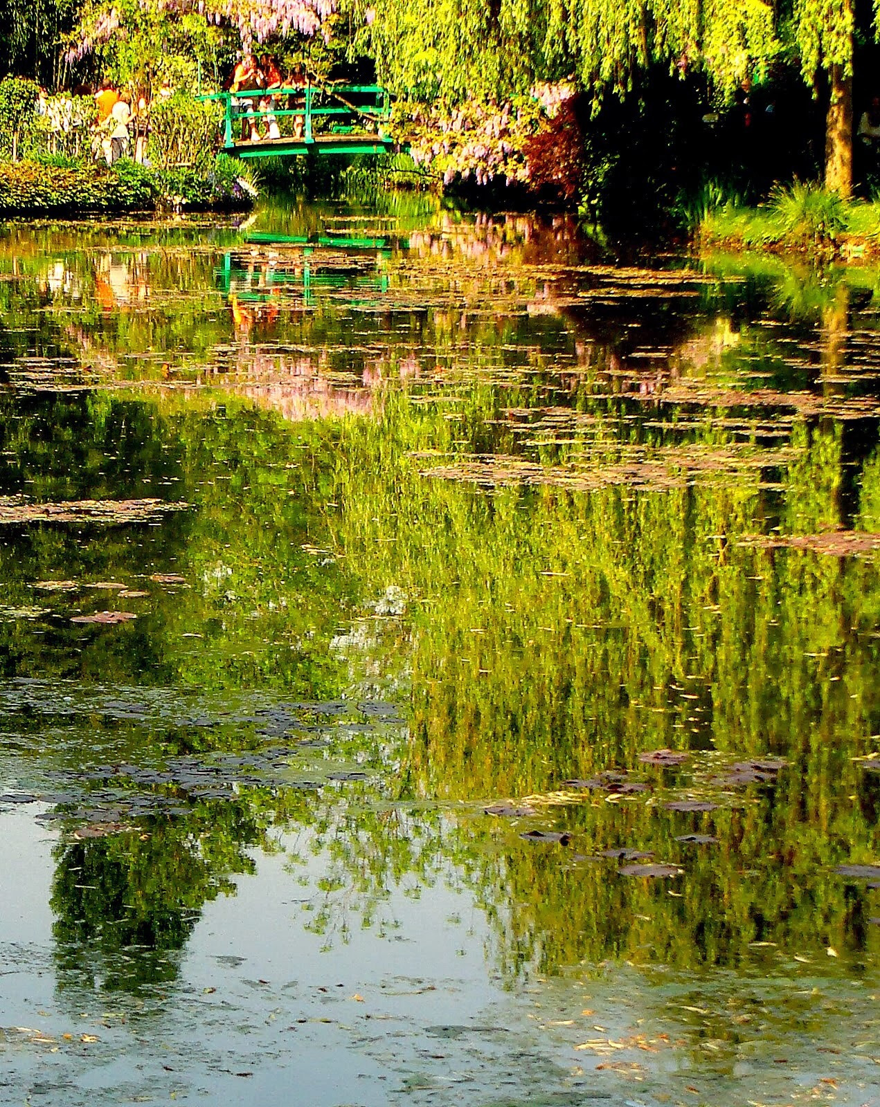 Sony DSC-T100 sample photo. Reflections in mr monet's pond, giverney photography