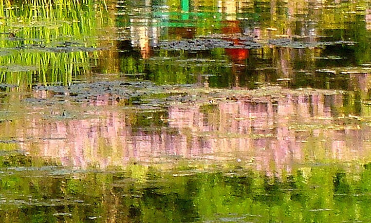 Sony DSC-T100 sample photo. Reflections in mr monet's pond, giverny photography