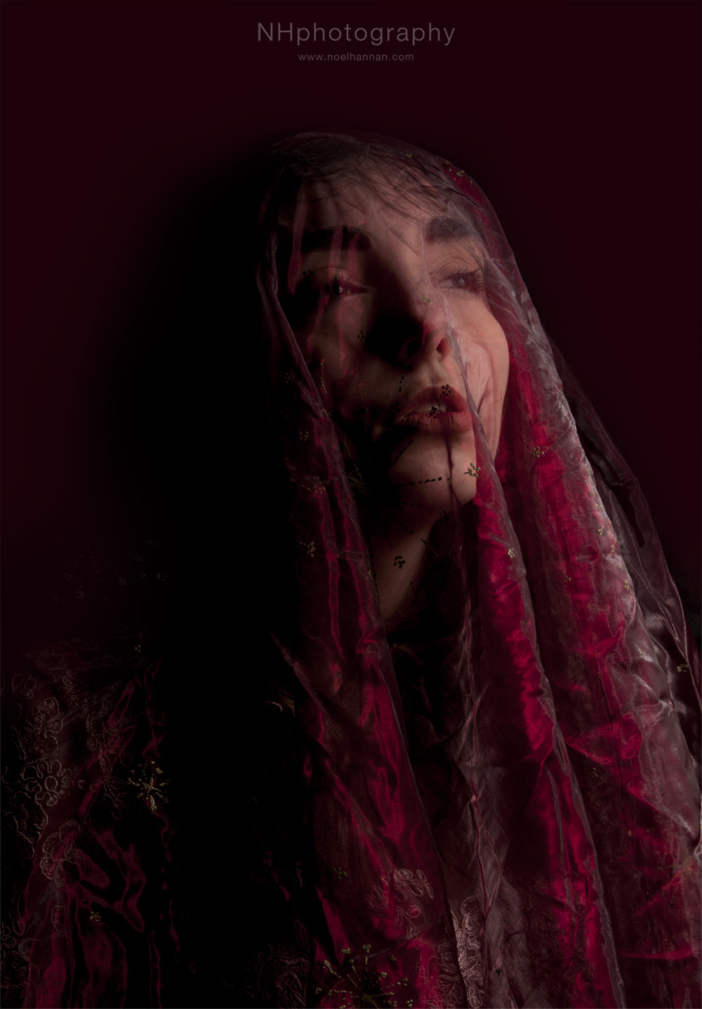 Nikon D200 sample photo. Behind the veil photography