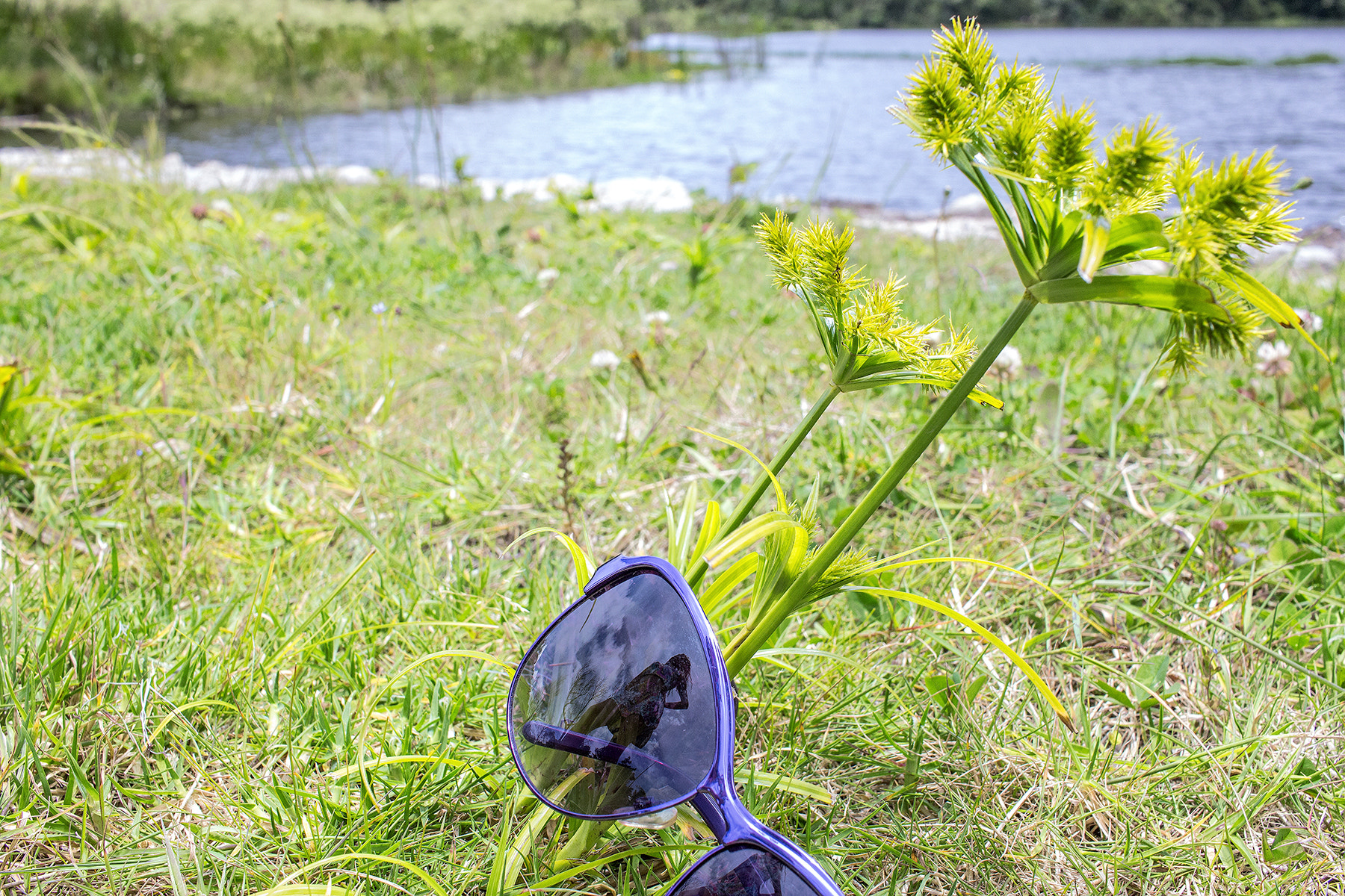 Canon EF-S 24mm F2.8 STM sample photo. Sunglasses at lake photography