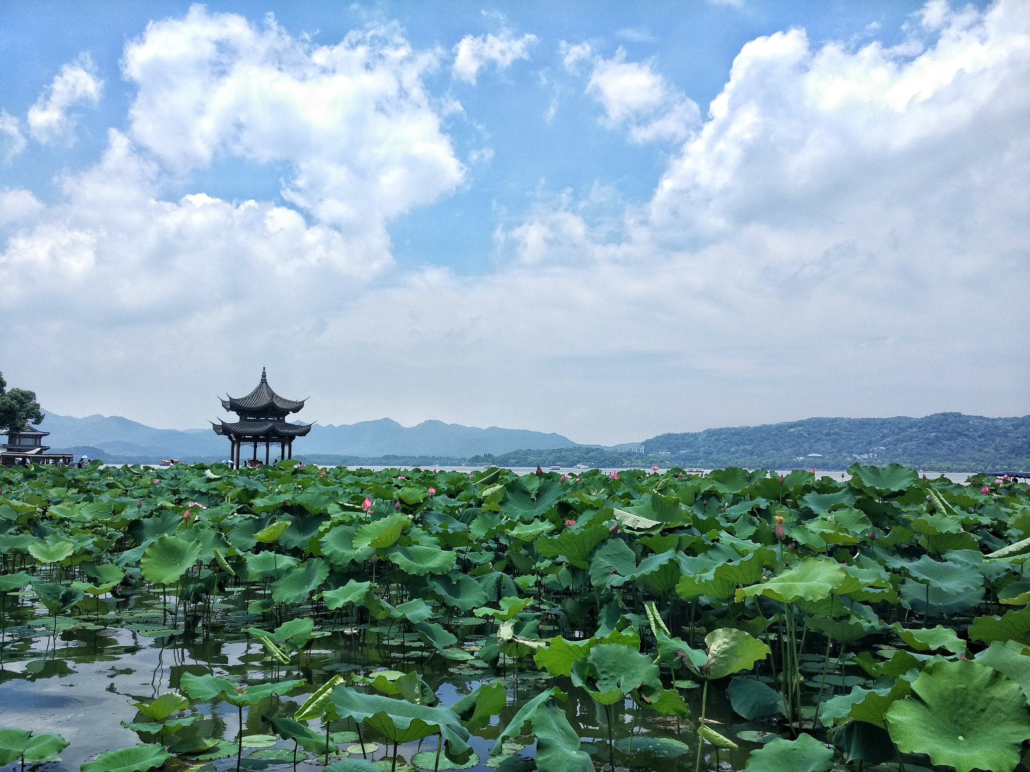 Xiaomi Mi-4c sample photo. Day trip to hangzhou, china photography